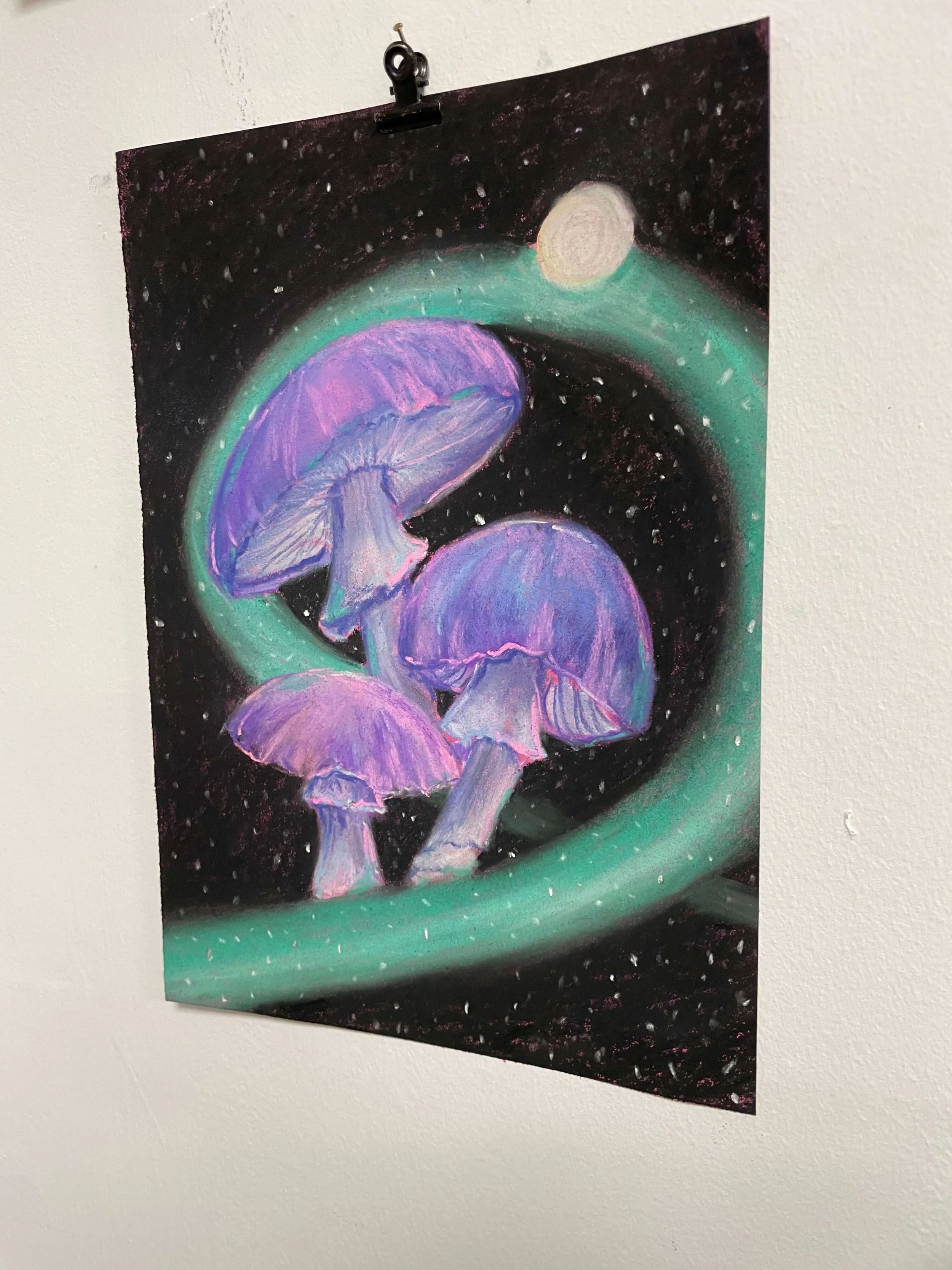 chalk pastel challenge 19 toadstools kayleigh mccallum 3.jpeg