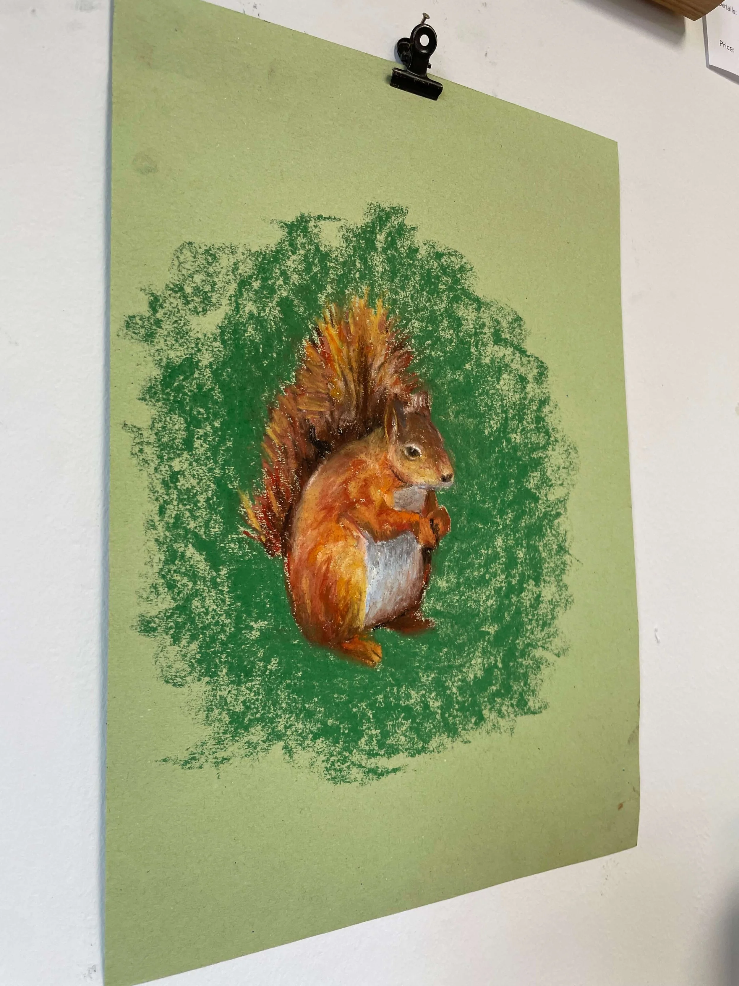 chalk pastel challenge 30 squirrell kayleigh mccallum 2.jpeg