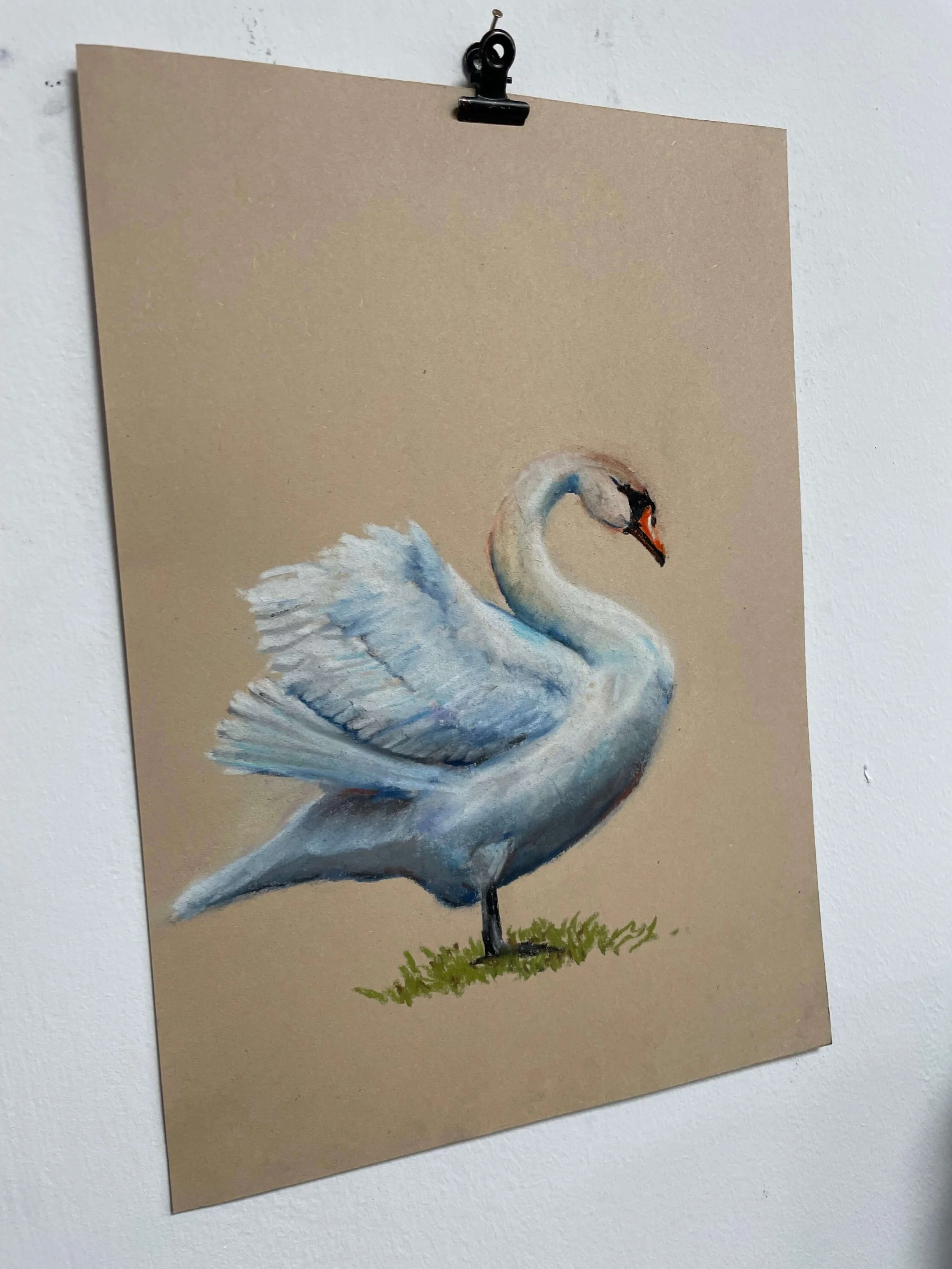chalk pastel challenge 36 swan kayleigh mccallum 3.jpeg