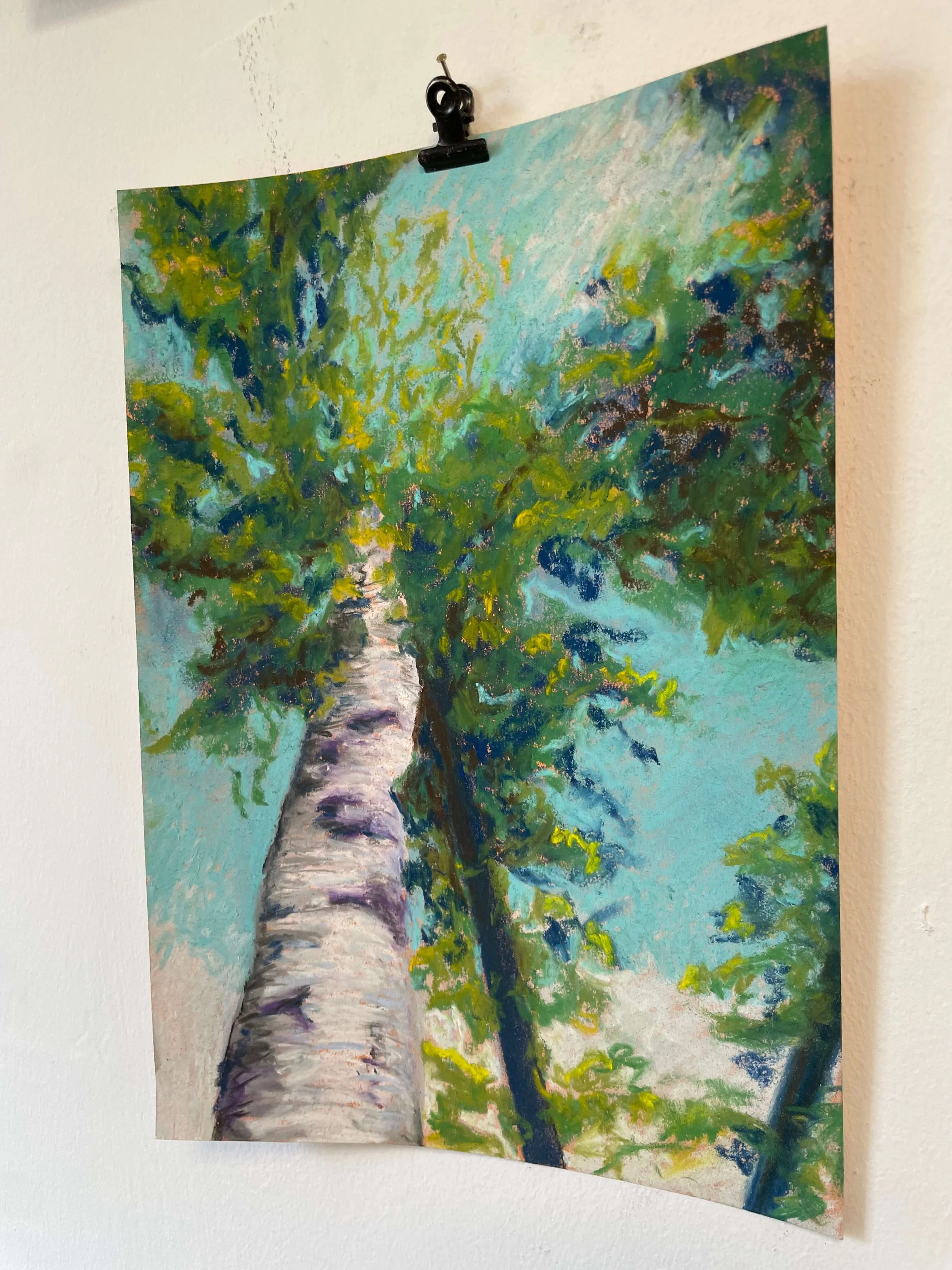 chalk pastel challenge 42 tree kayleigh mccallum 3.jpeg