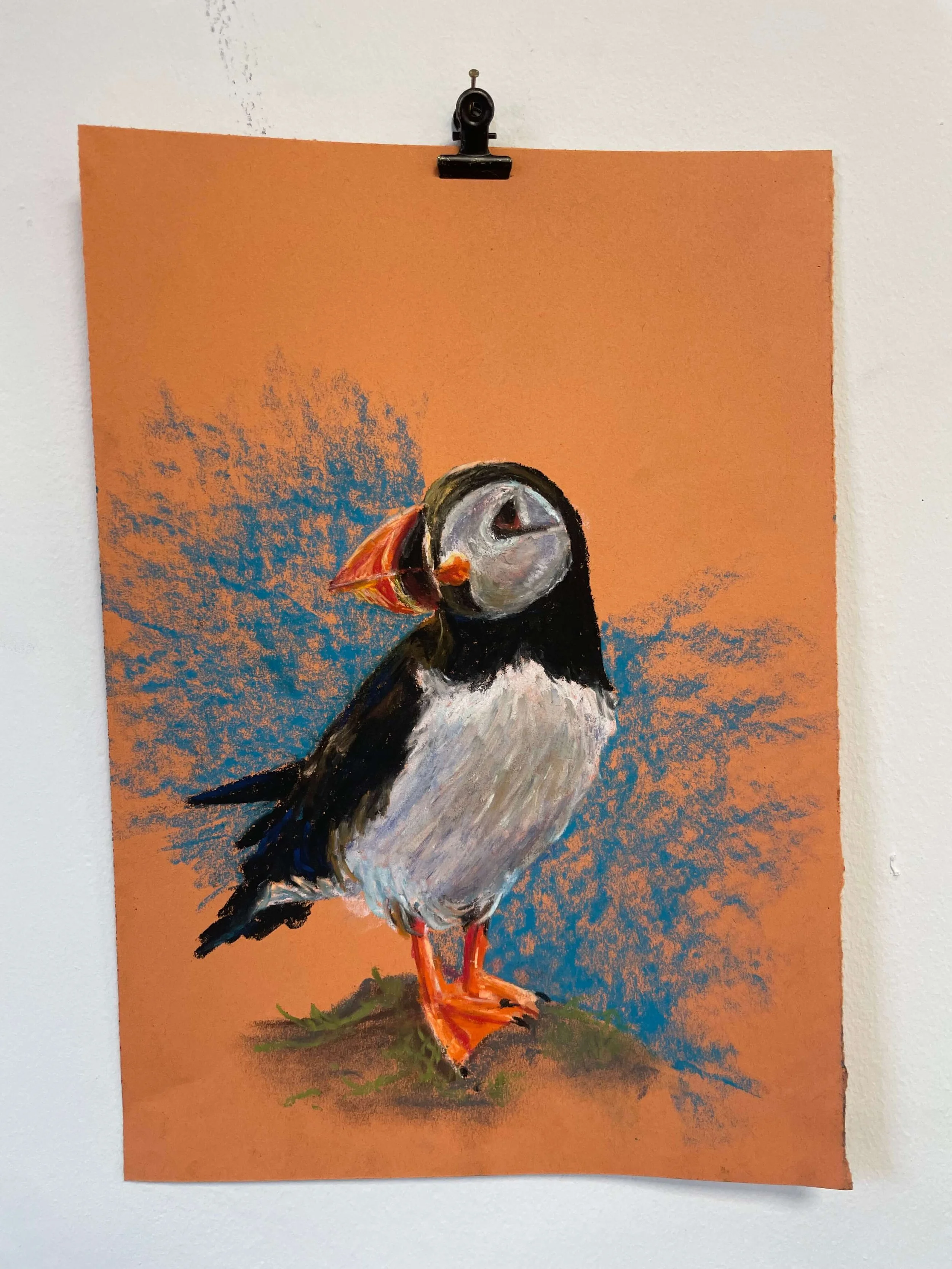 chalk pastel challenge 7 puffin kayleigh mccallum 1.jpeg