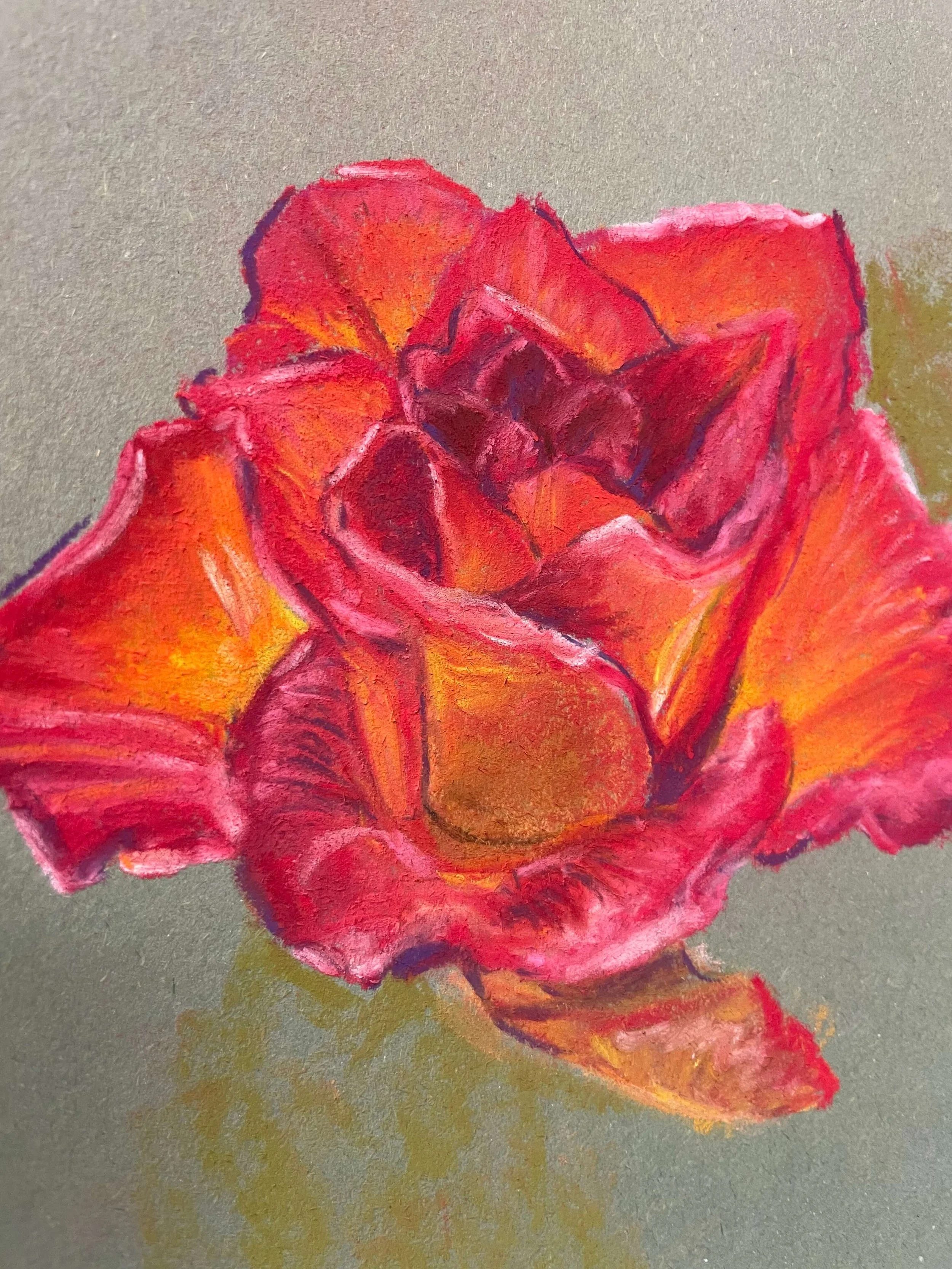 chalk pastel challenge 5 rose kayleigh mccallum 1.jpeg