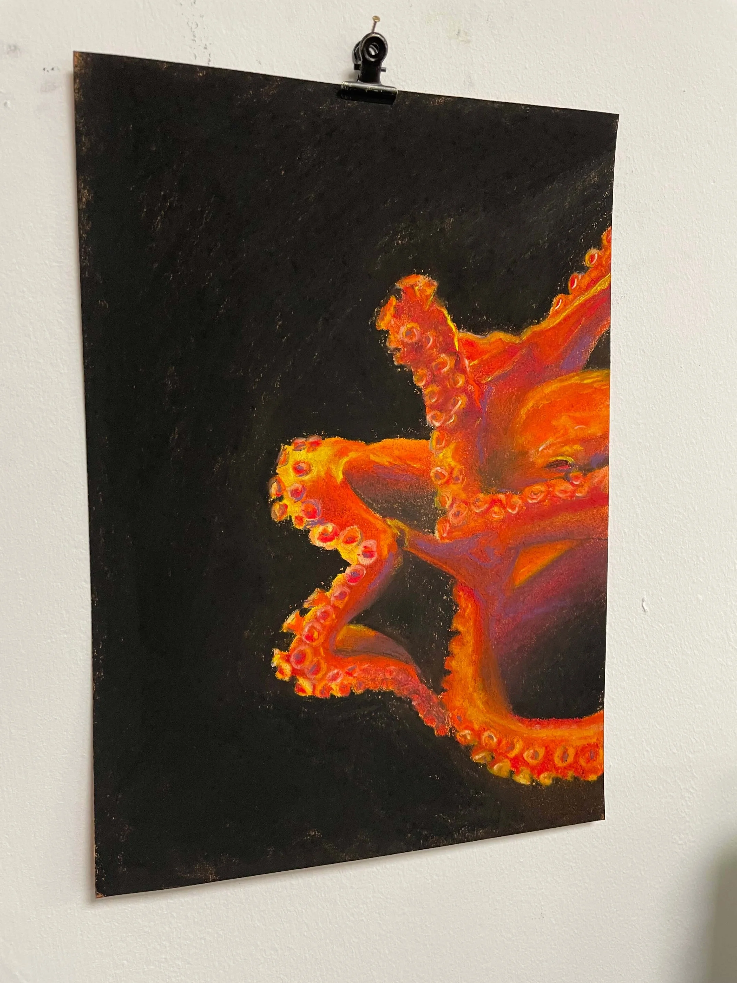 chalk pastel challenge 40 octopus kayleigh mccallum 2.jpeg