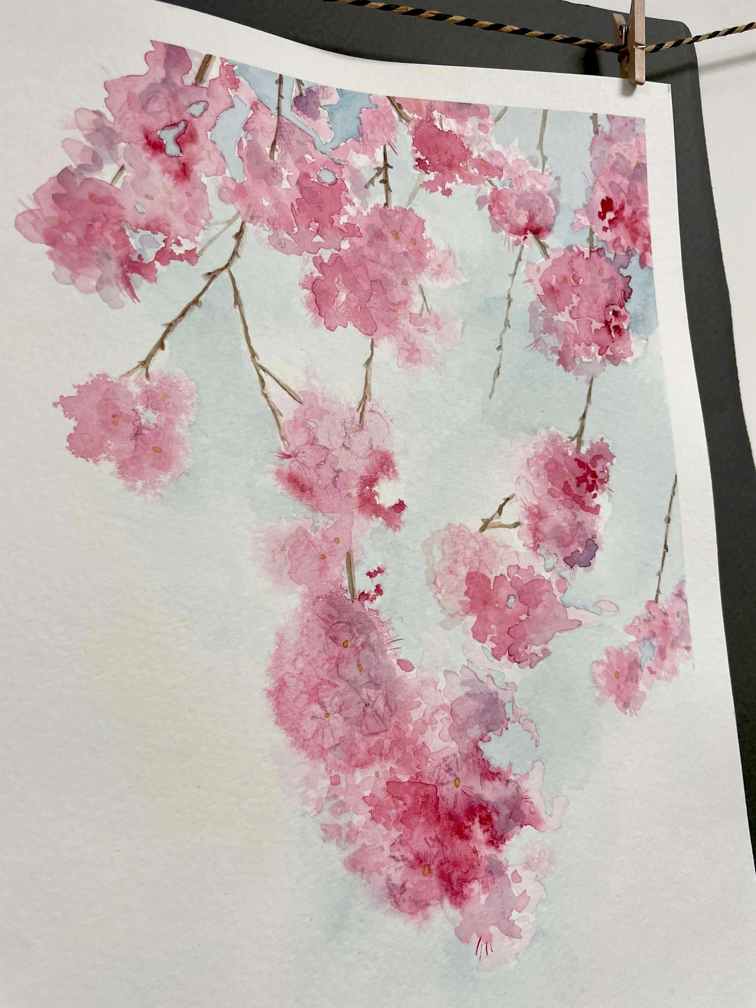 SS 1 cherry blossom kayleigh mccallum 2.jpeg