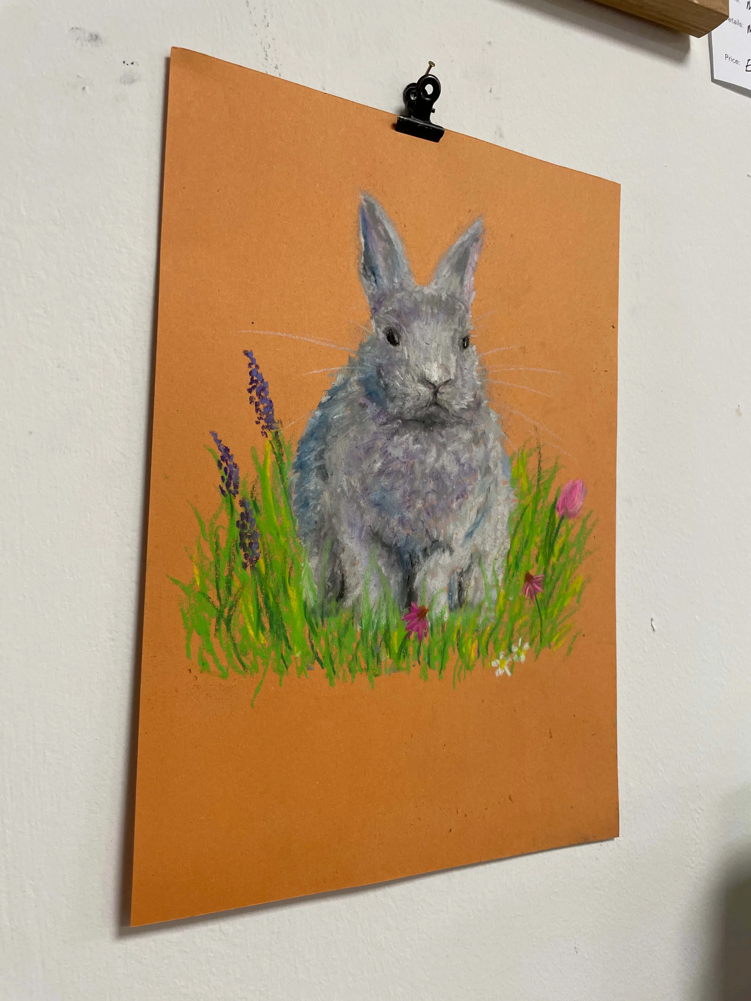 chalk pastel challenge 26 bunny kayleigh mccallum 2.jpg