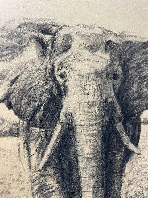 chalk pastel challenge 4 elephant kayleigh mccallum 3.jpeg