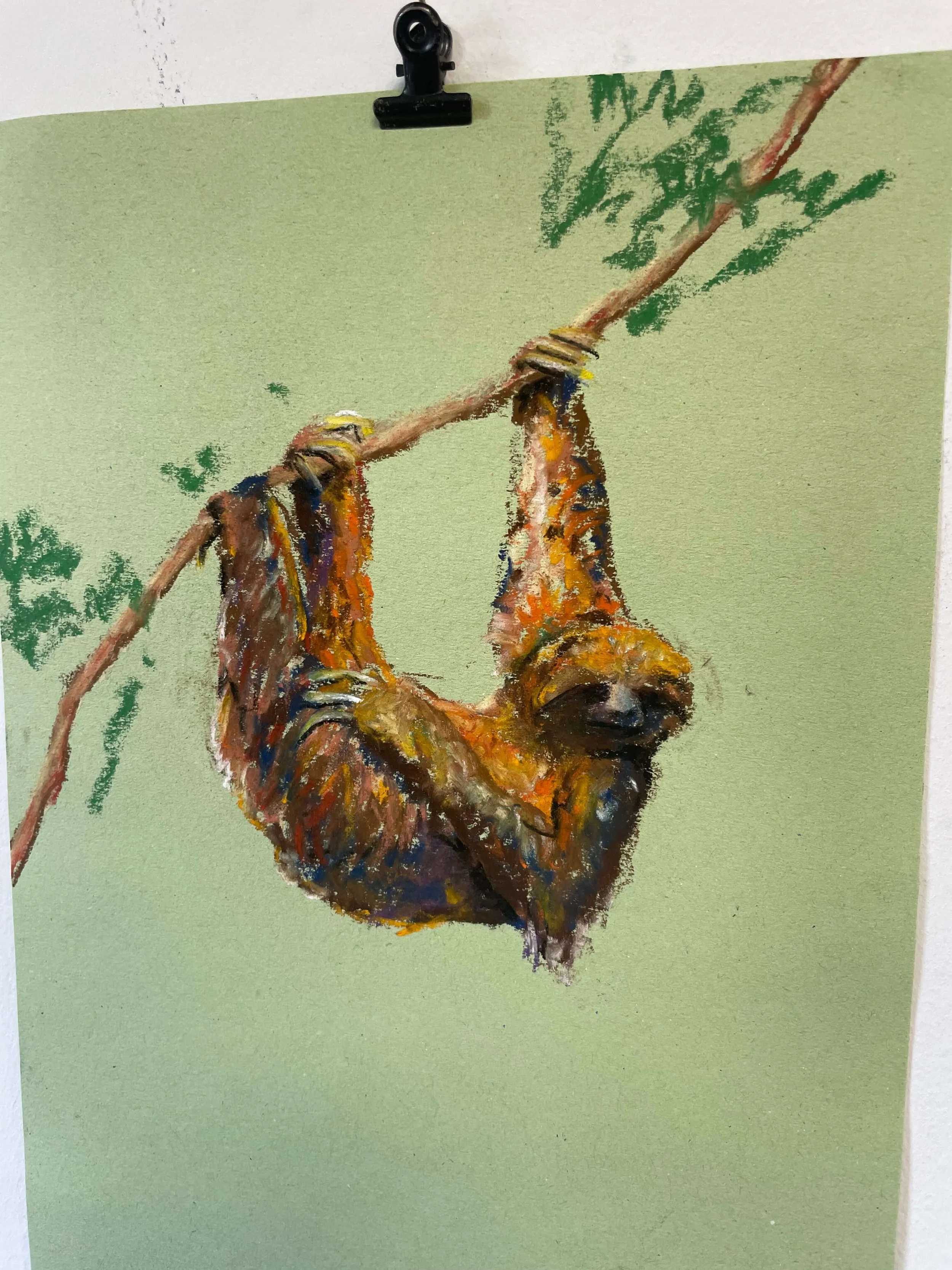 chalk pastel challenge 41 sloth kayleigh mccallum 4.jpeg