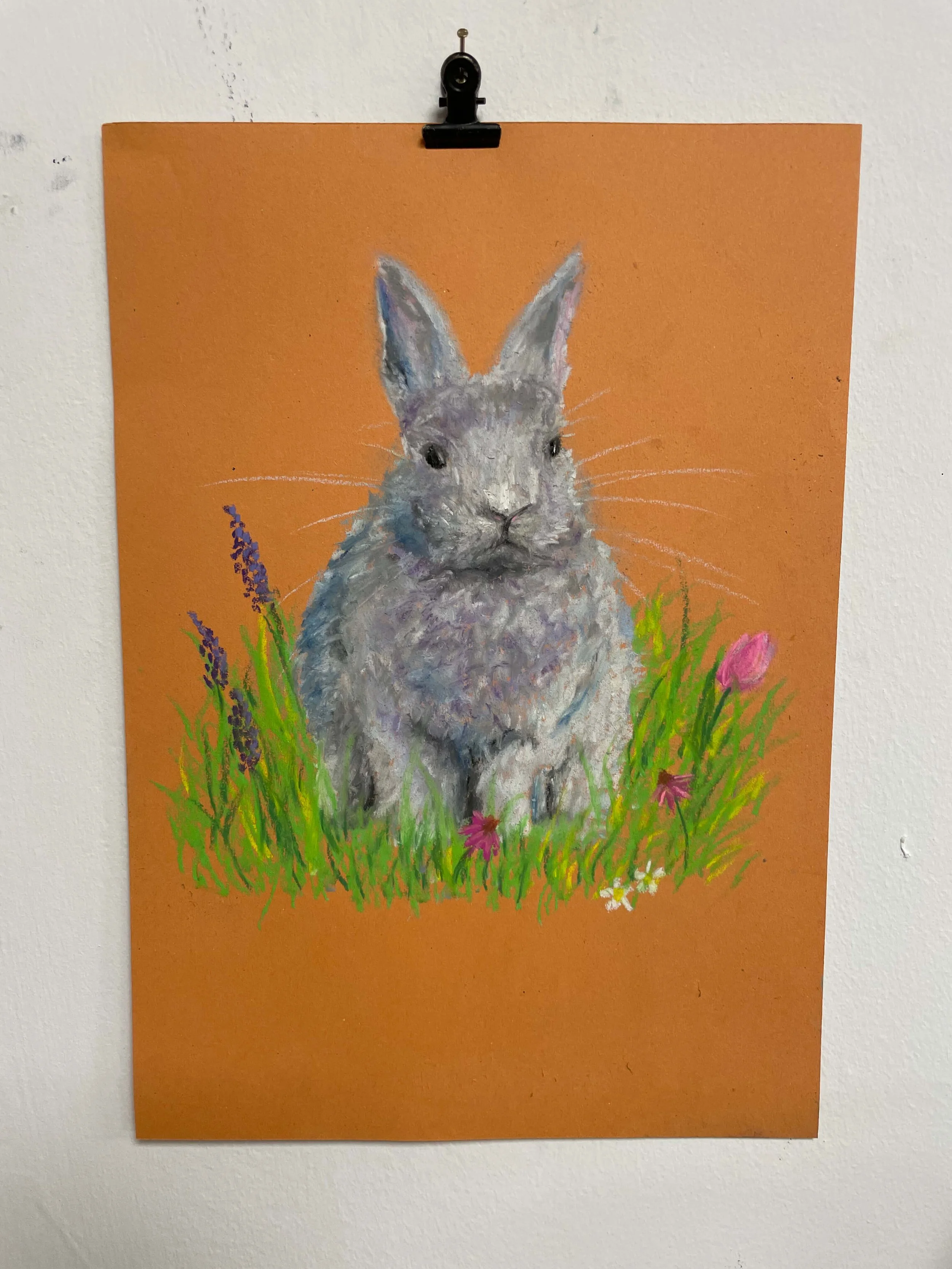 chalk pastel challenge 26 bunny kayleigh mccallum 1.jpg