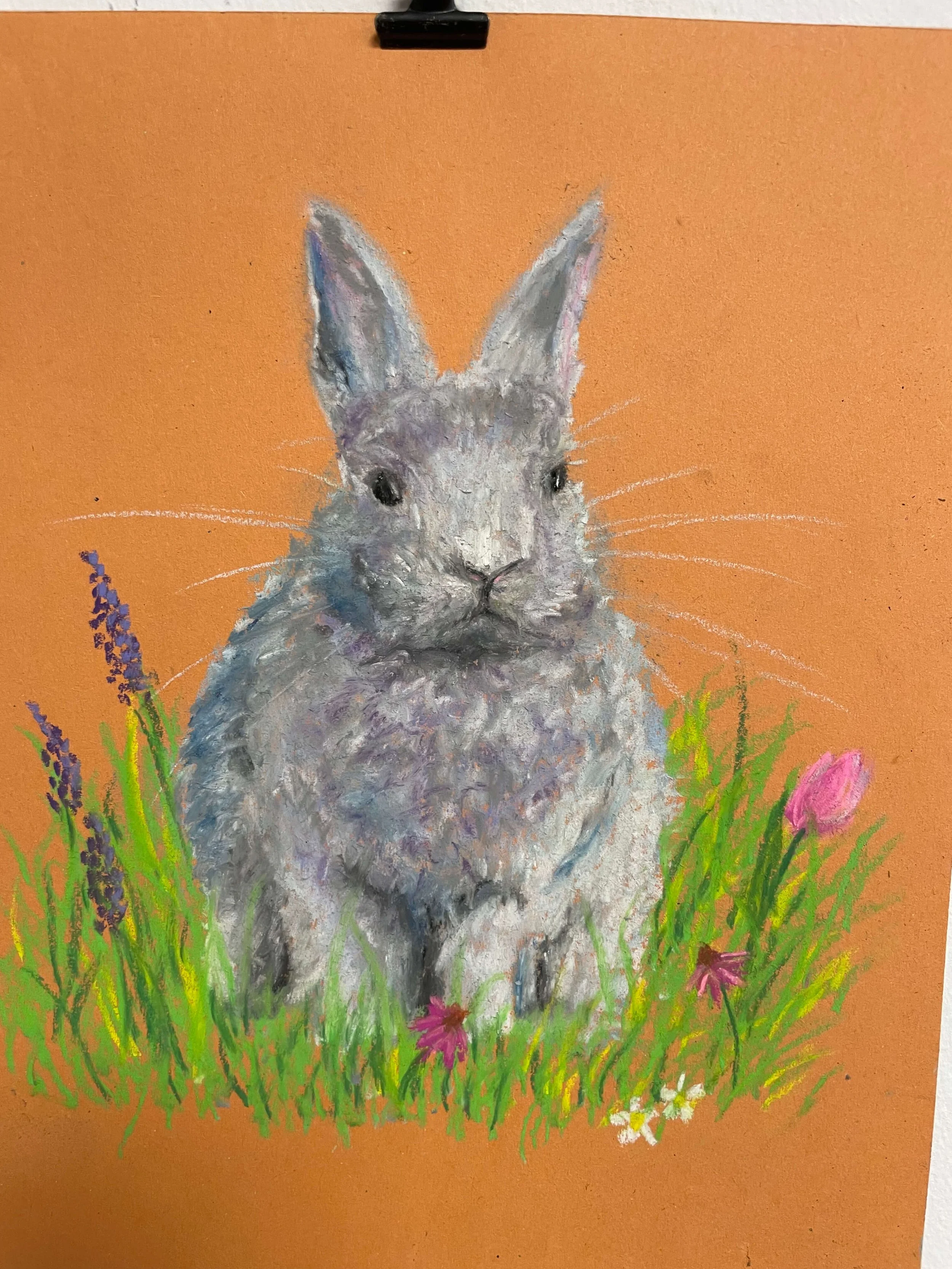 chalk pastel challenge 26 bunny kayleigh mccallum 3.jpg