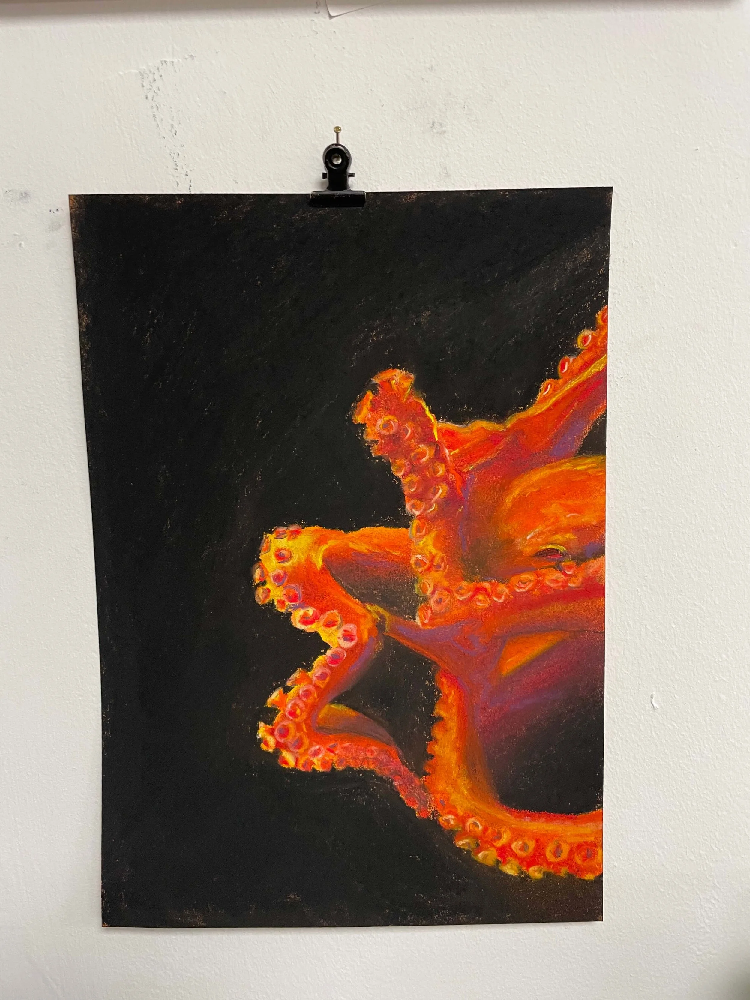 chalk pastel challenge 40 octopus kayleigh mccallum 1.jpeg