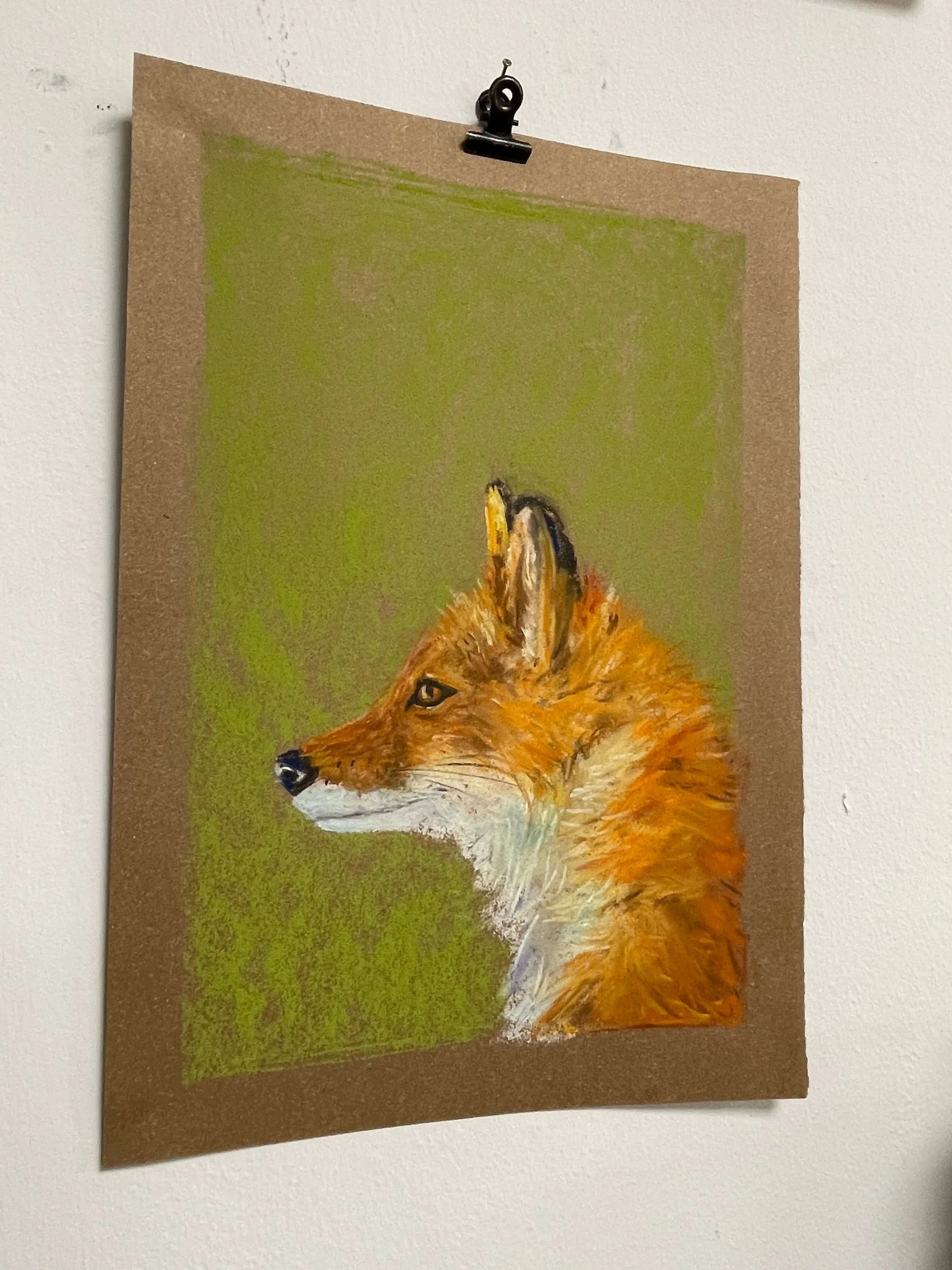 chalk pastel challenge 18 fox kayleigh mccallum 3.jpeg