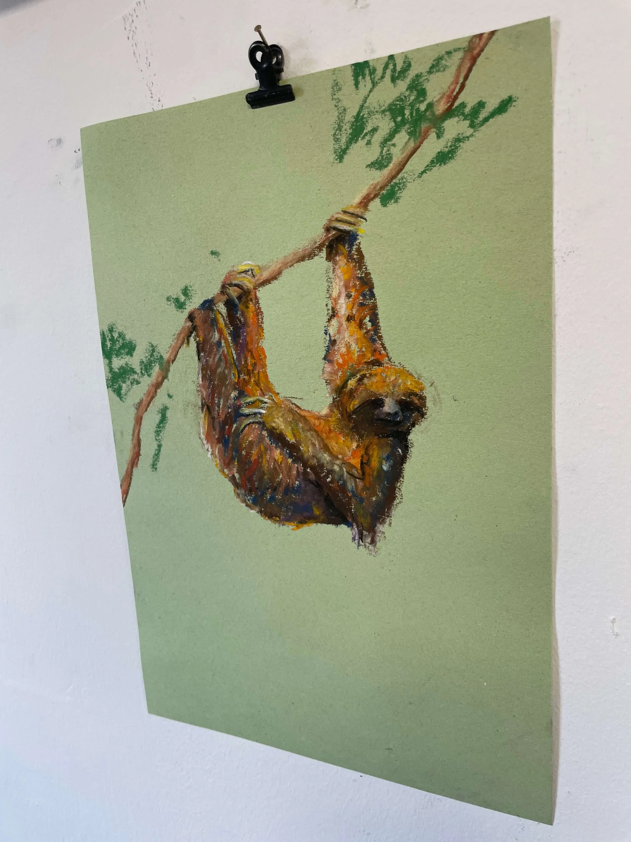 chalk pastel challenge 41 sloth kayleigh mccallum 3.jpeg