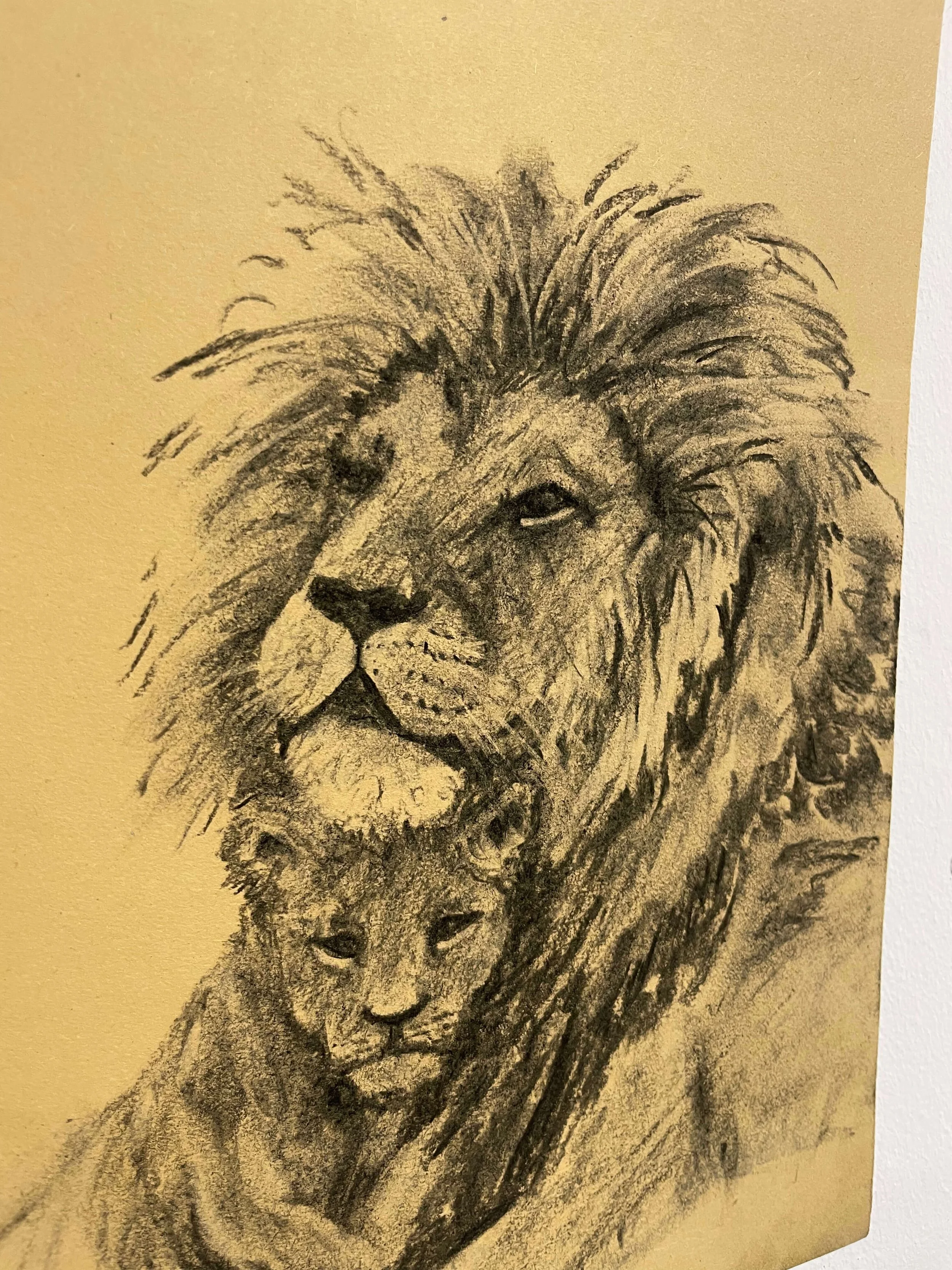chalk pastel challenge 21 lions kayleigh mccallum 2.jpg