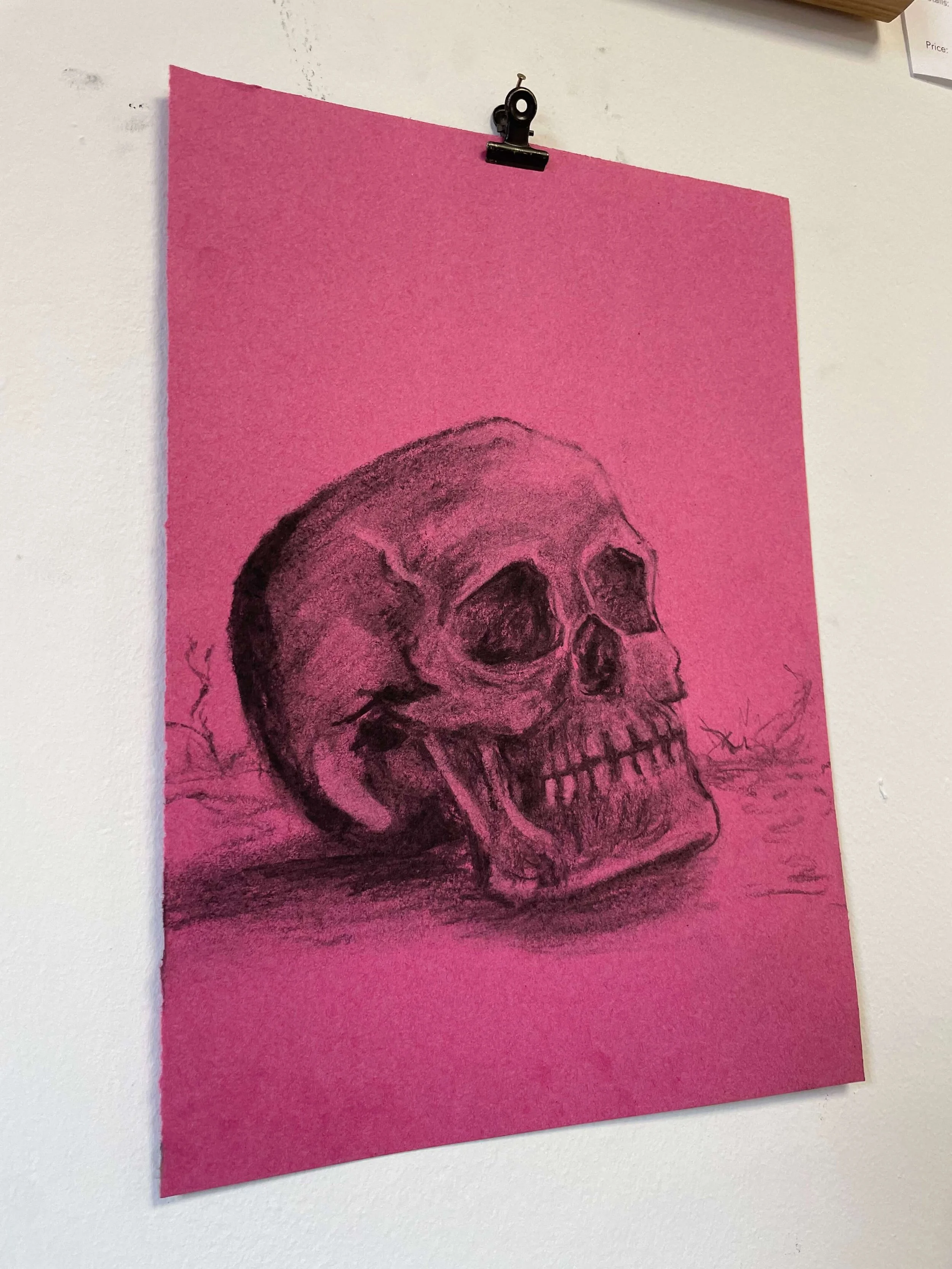 chalk pastel challenge 29 skull kayleigh mccallum 2.jpeg