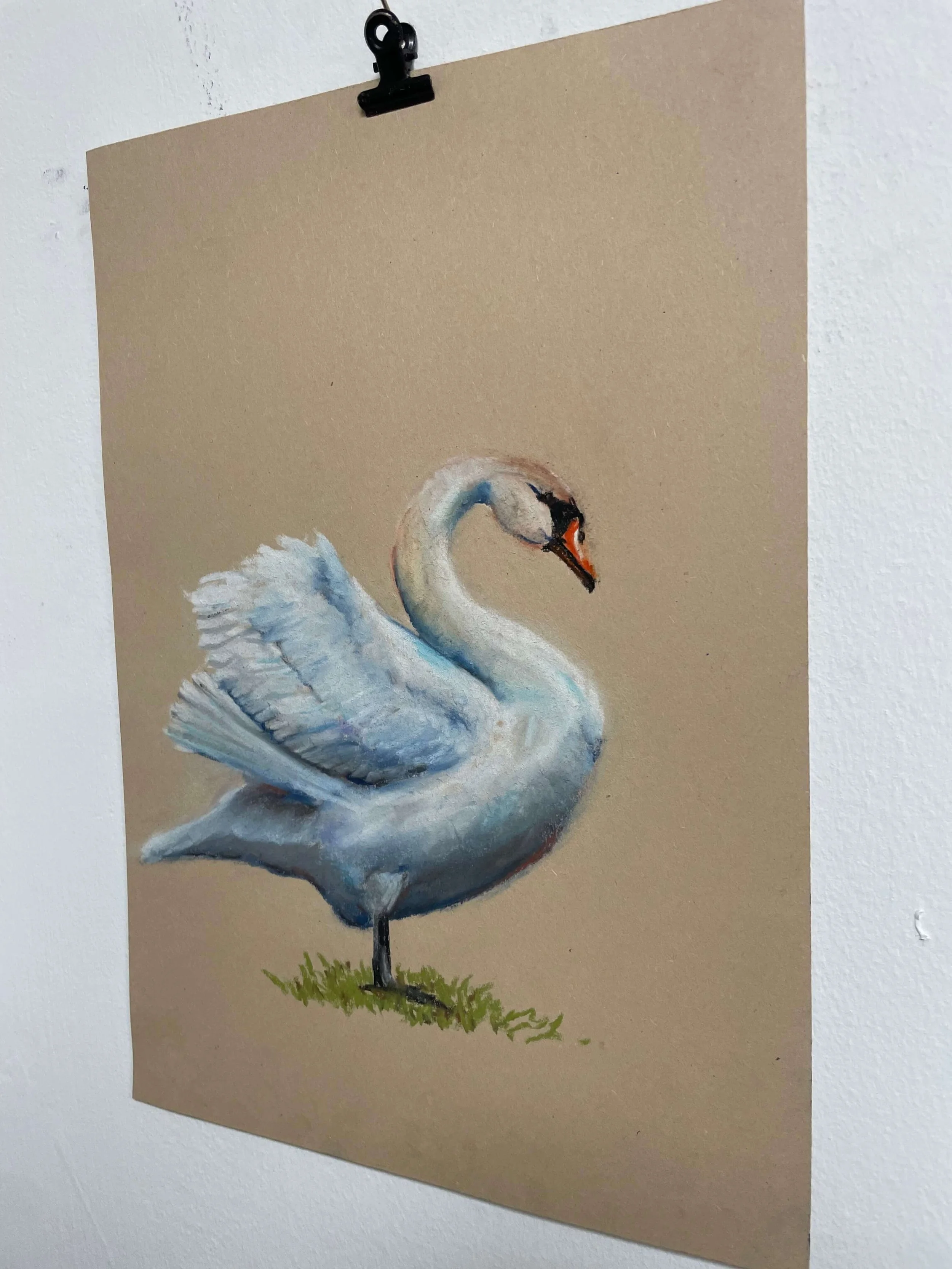 chalk pastel challenge 36 swan kayleigh mccallum 2.jpeg
