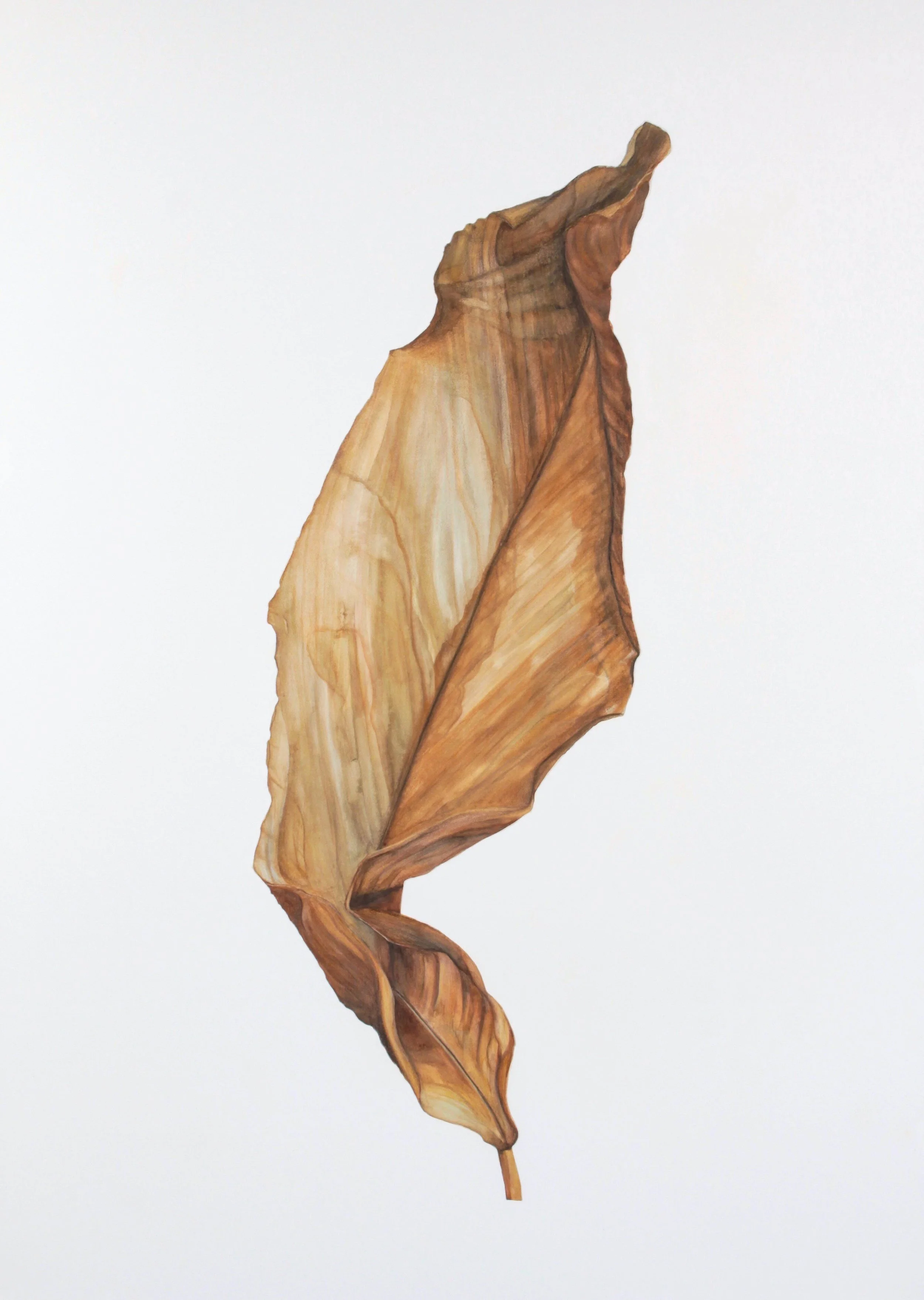 Untitled_Artwork-7.jpg