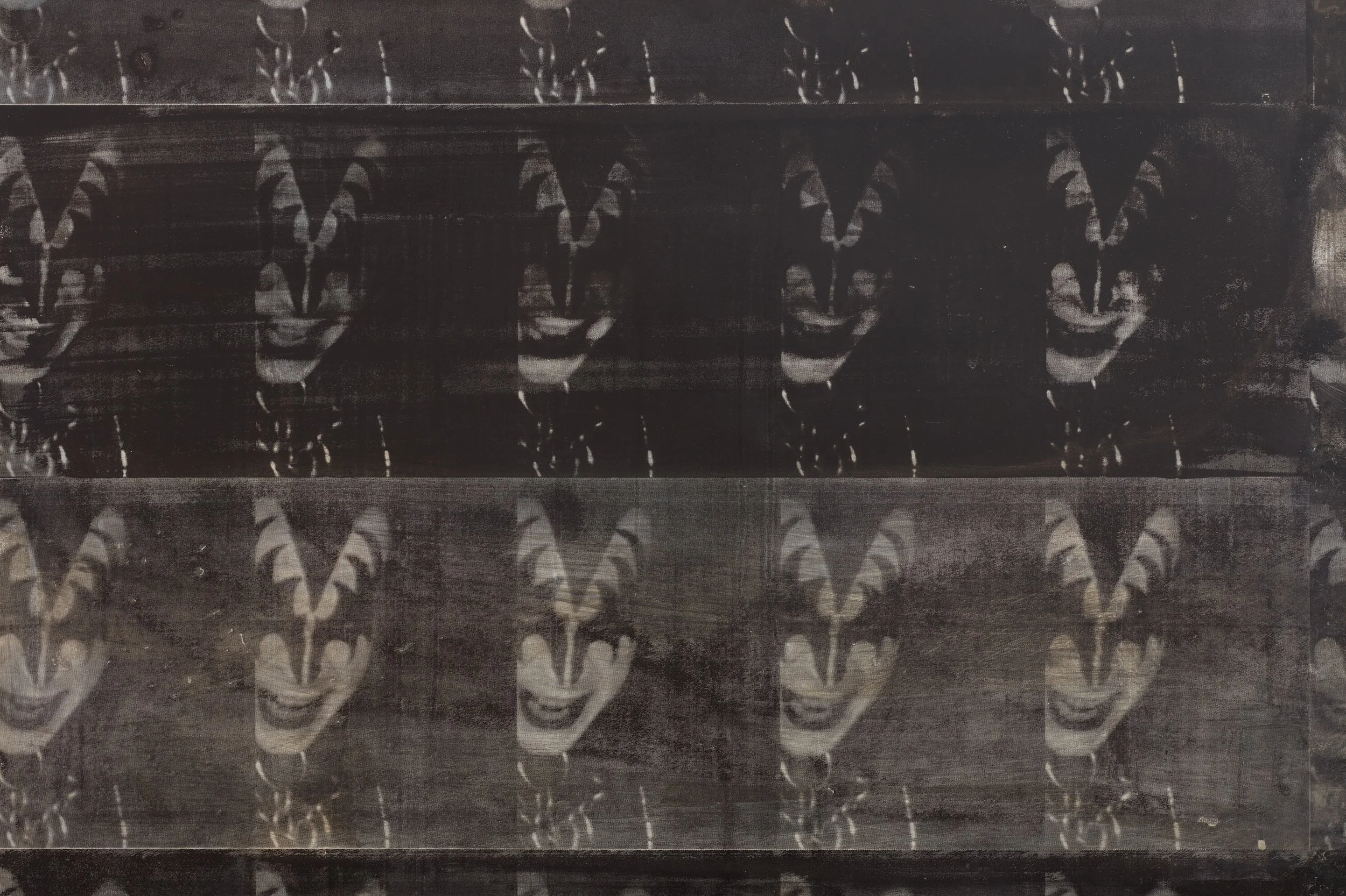 Brendan Donnelly_Orion_25569.jpeg