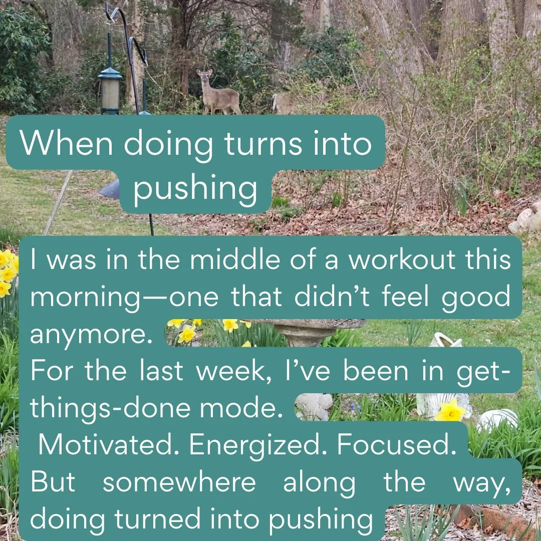 A reminder I needed today&mdash;and maybe you do too.
Healing is allowed. 🌿

#healingisallowed
#ancientwisdom