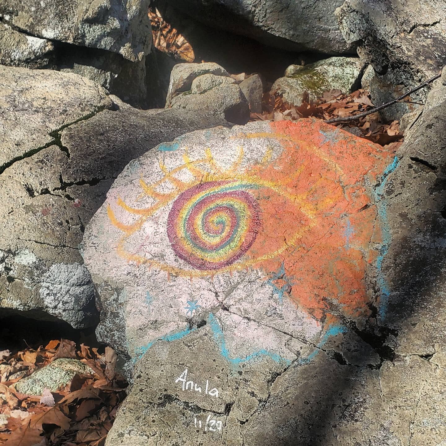 Exactly one year ago today I went on my first socially distanced hike where I saw a rock with the words &quot;It is but a dream&quot; painted on it. Little did I know that this past year would feel like a dream.

Today I had a fabulous outing with tw