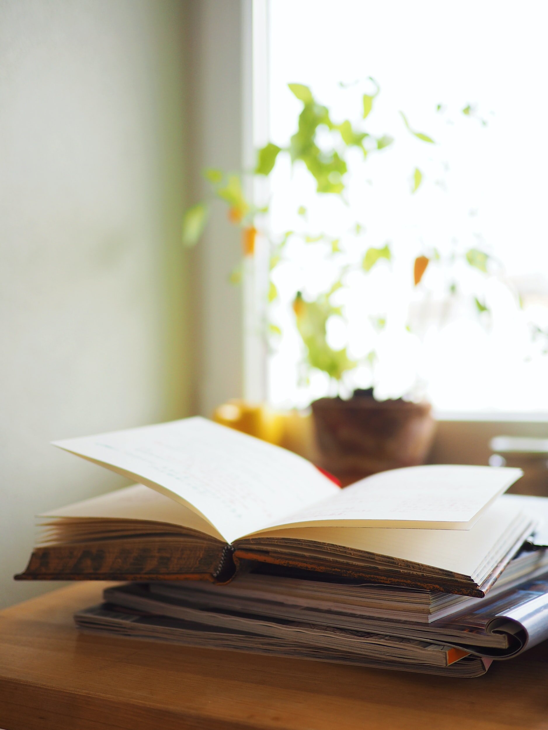 Literary Ladies: January Book of the Month
