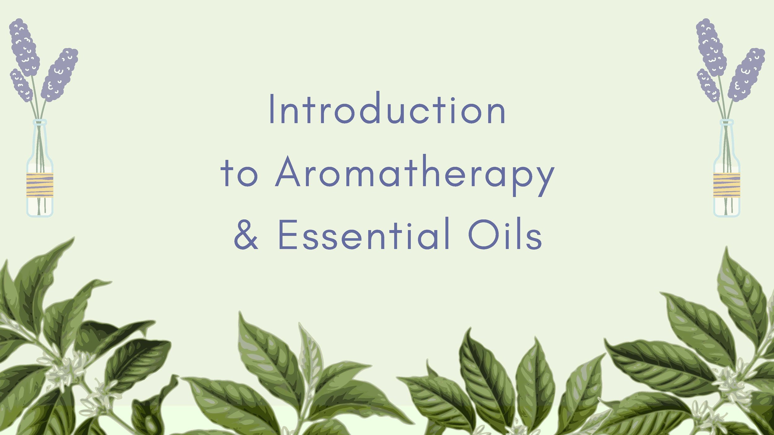 Introduction to Essential Oils 2024 - 8.5_Page_01.jpg