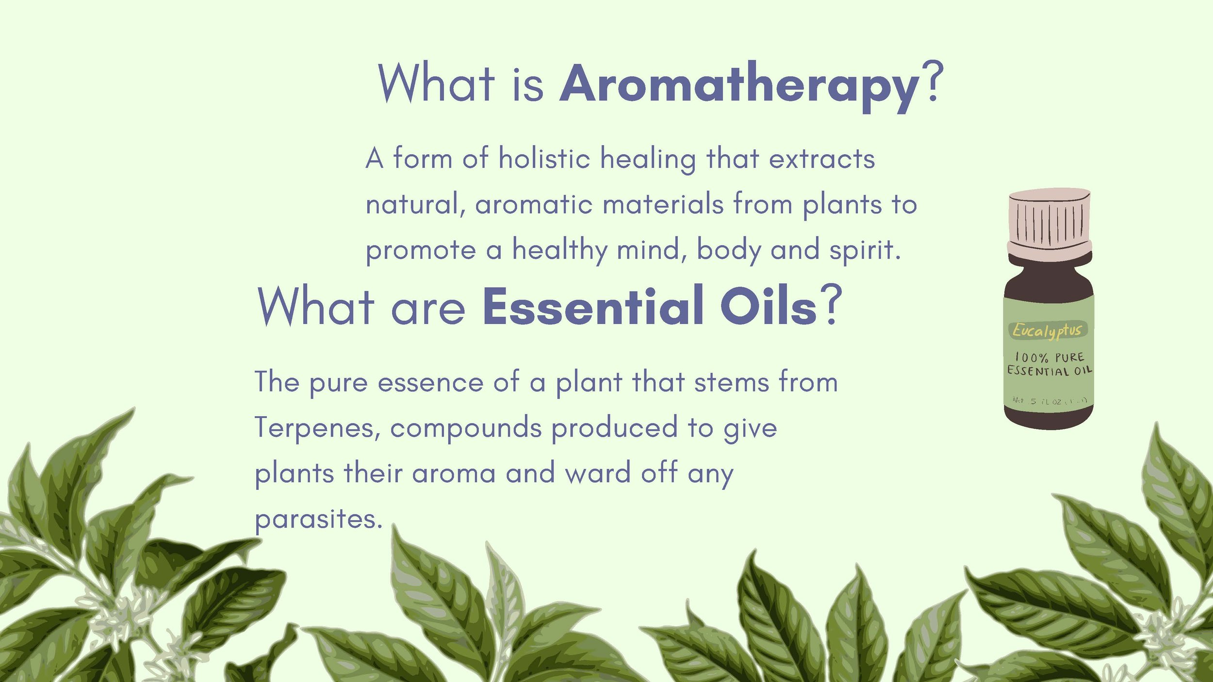 Introduction to Essential Oils 2024 - 8.5_Page_02.jpg