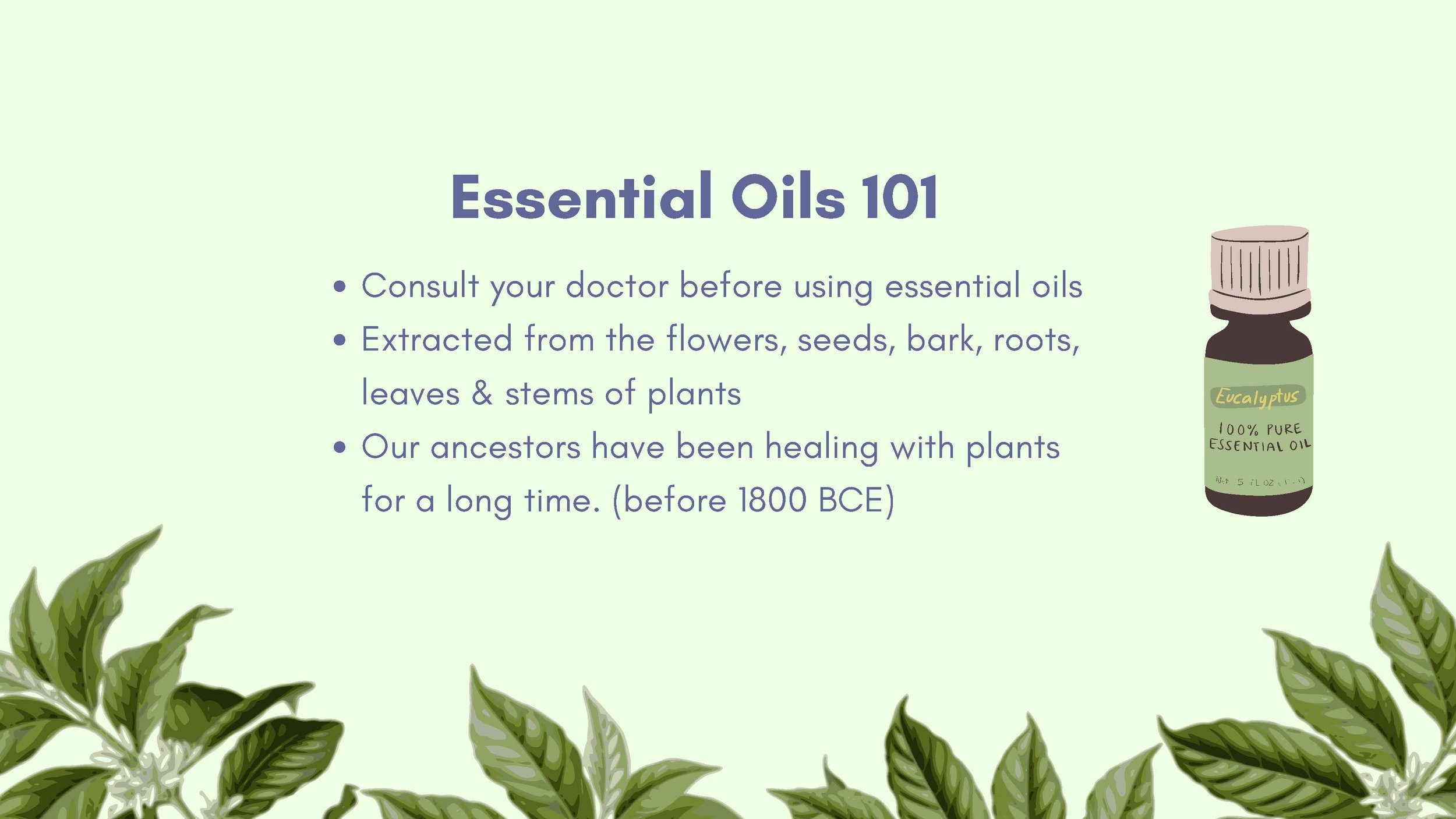 Introduction to Essential Oils 2024 - 8.5_Page_03.jpg