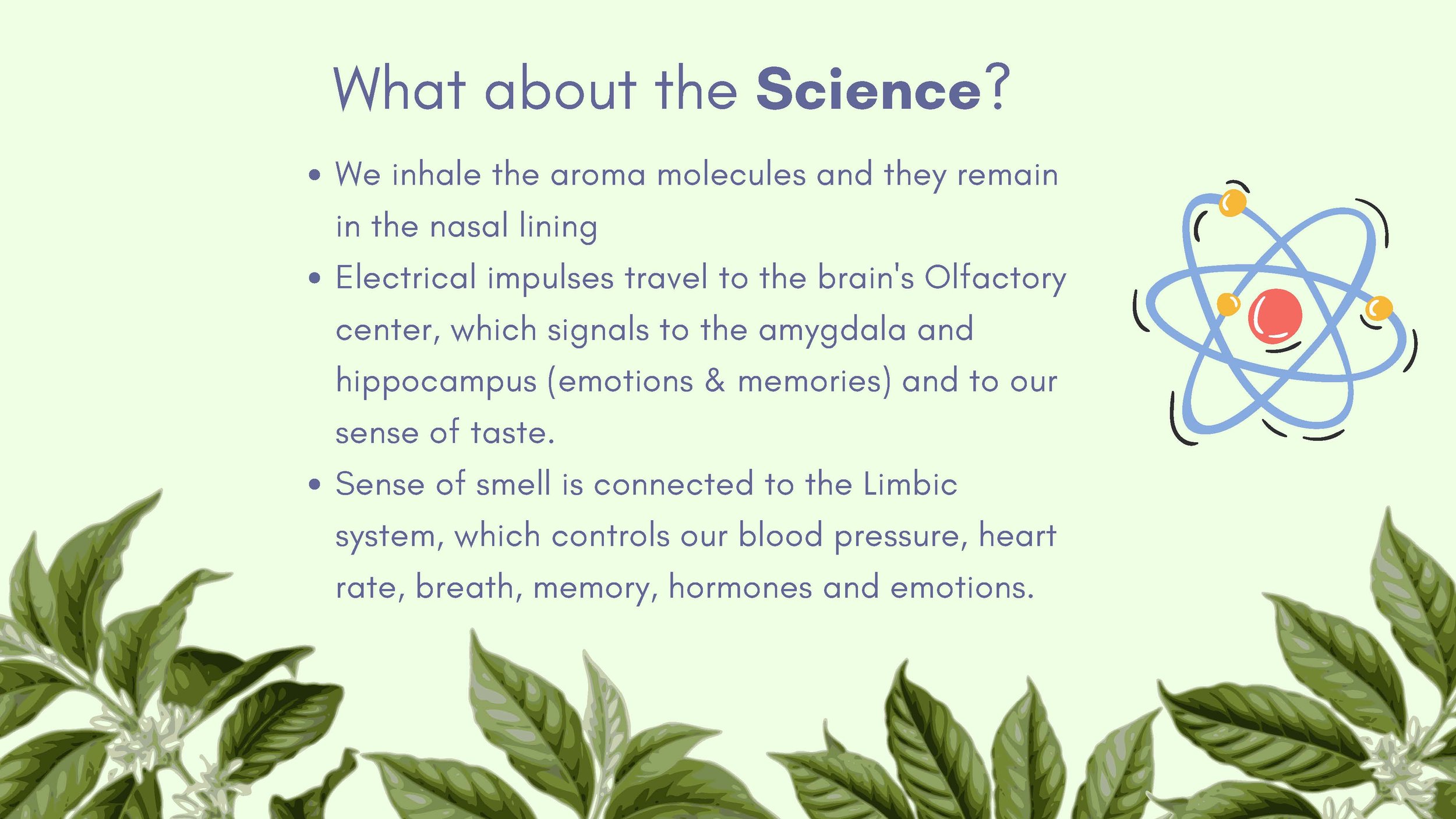 Introduction to Essential Oils 2024 - 8.5_Page_05.jpg