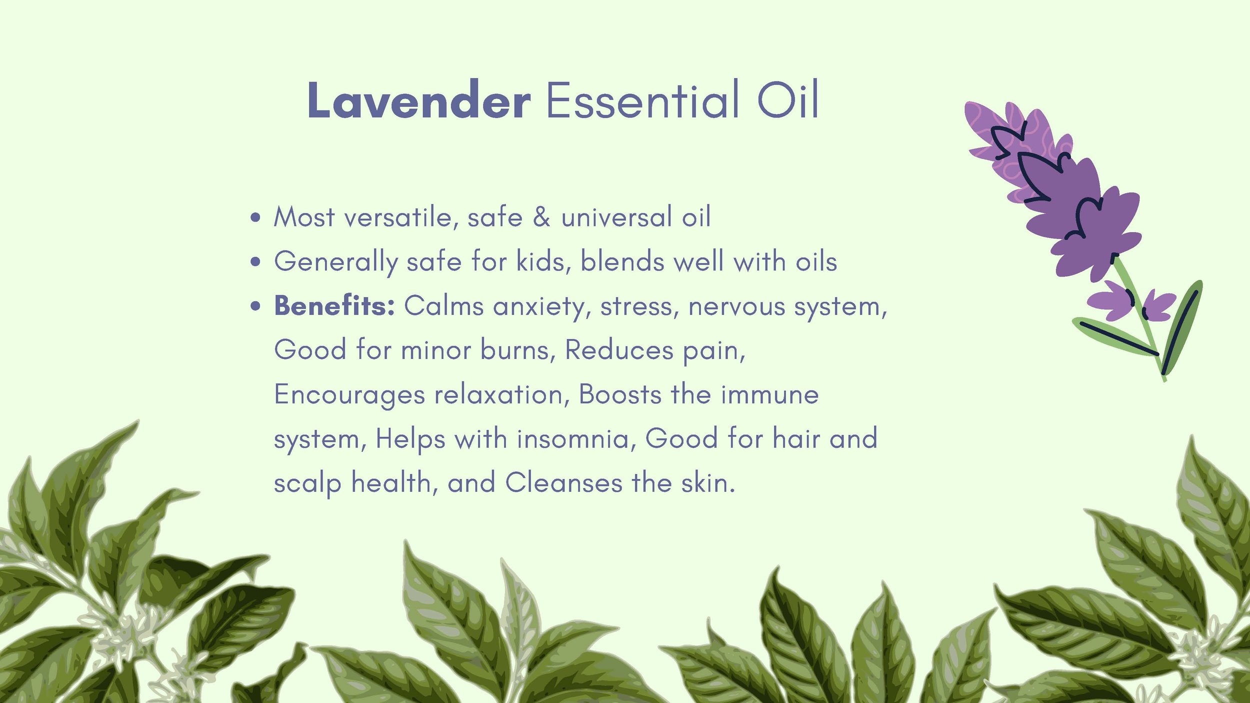 Introduction to Essential Oils 2024 - 8.5_Page_07.jpg