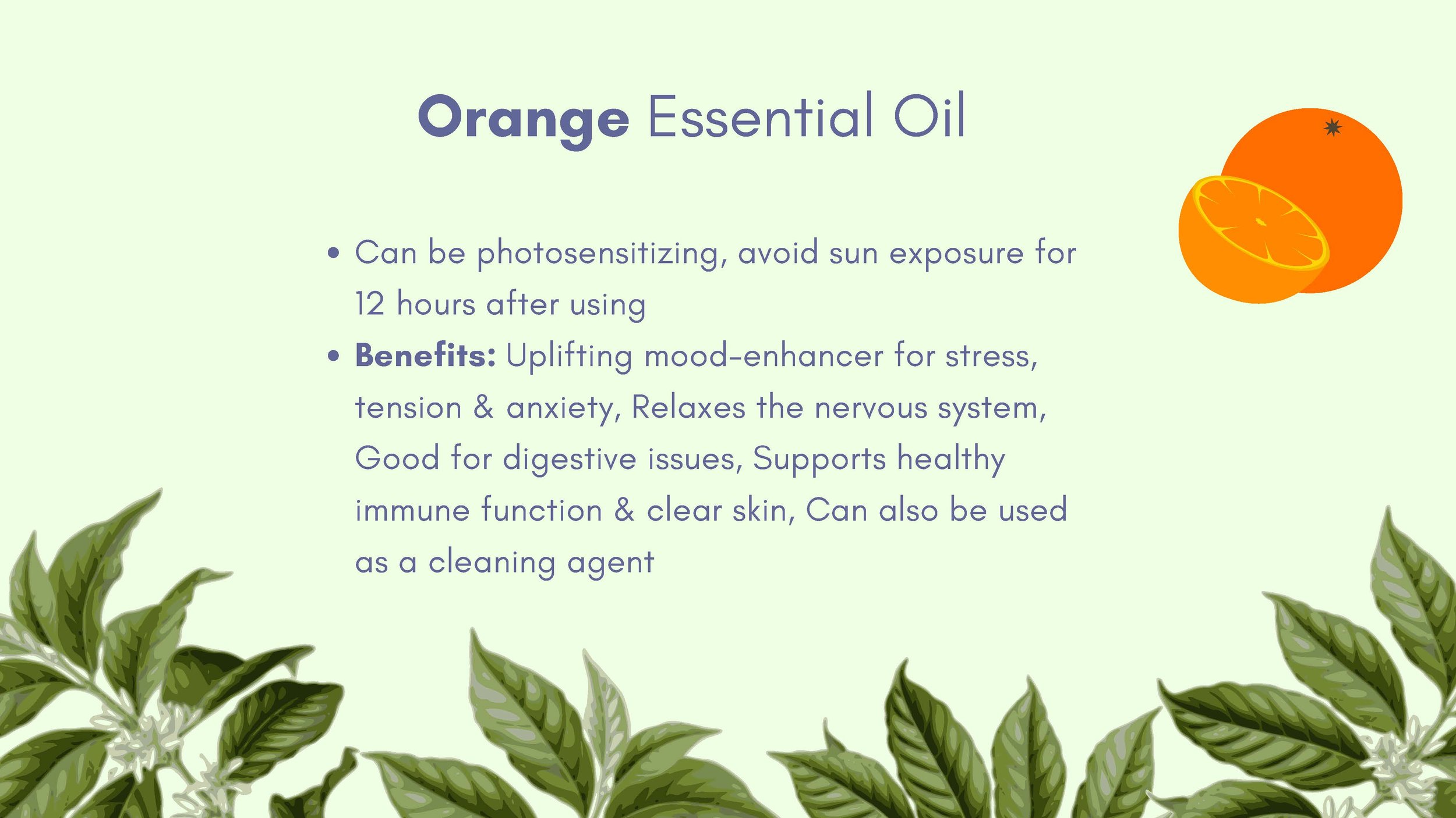 Introduction to Essential Oils 2024 - 8.5_Page_09.jpg