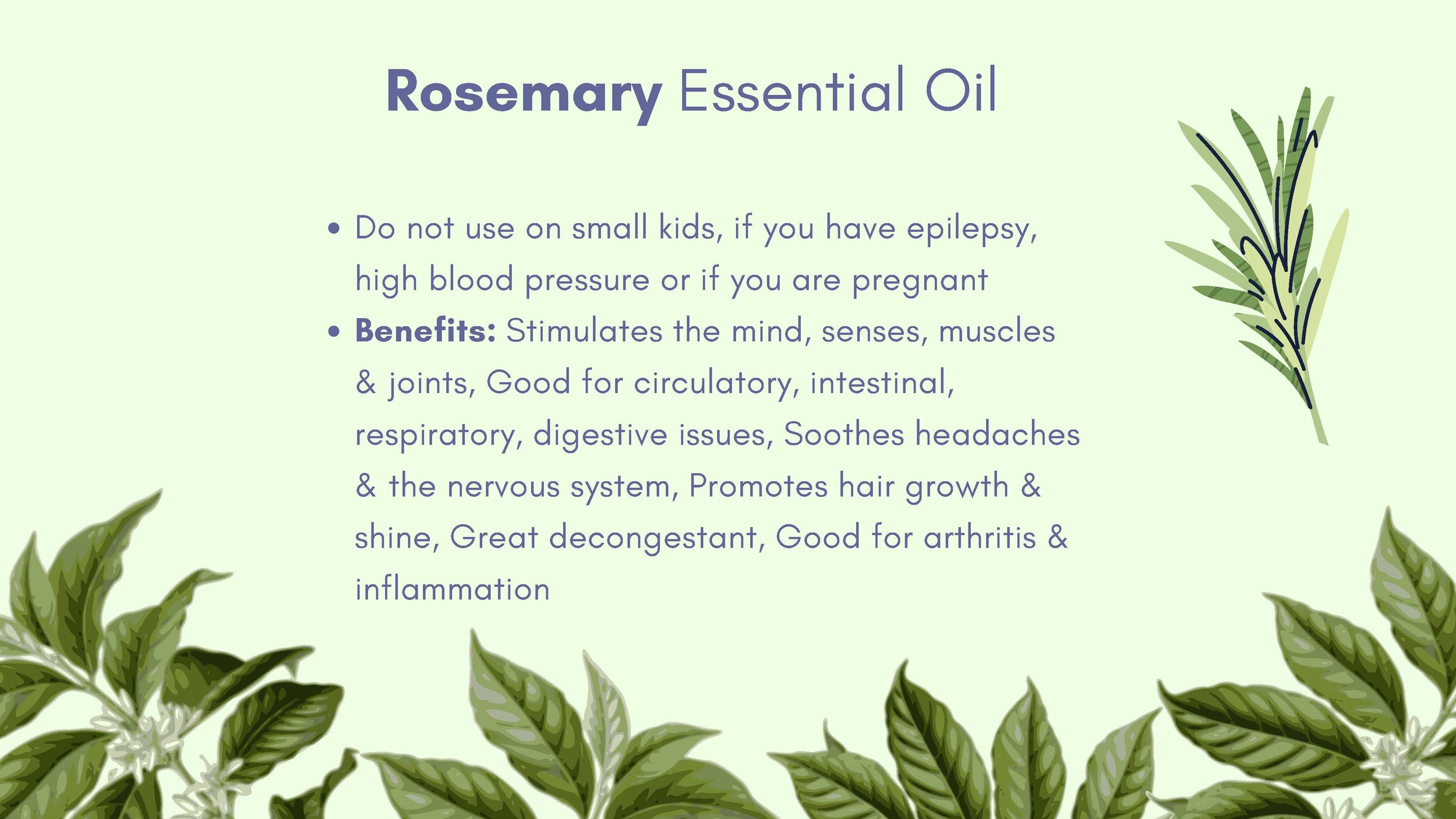 Introduction to Essential Oils 2024 - 8.5_Page_11.jpg
