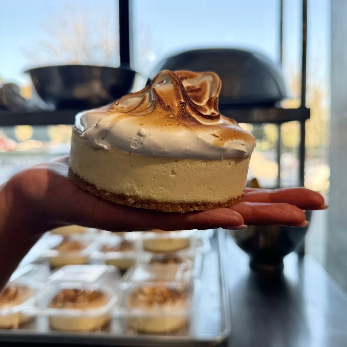 Weekly cheesecake in the cooler! Classic vanilla cheesecake base swirled with fresh lemon curd with a graham cracker crust. Topped with torched meringue. 🍋🍋