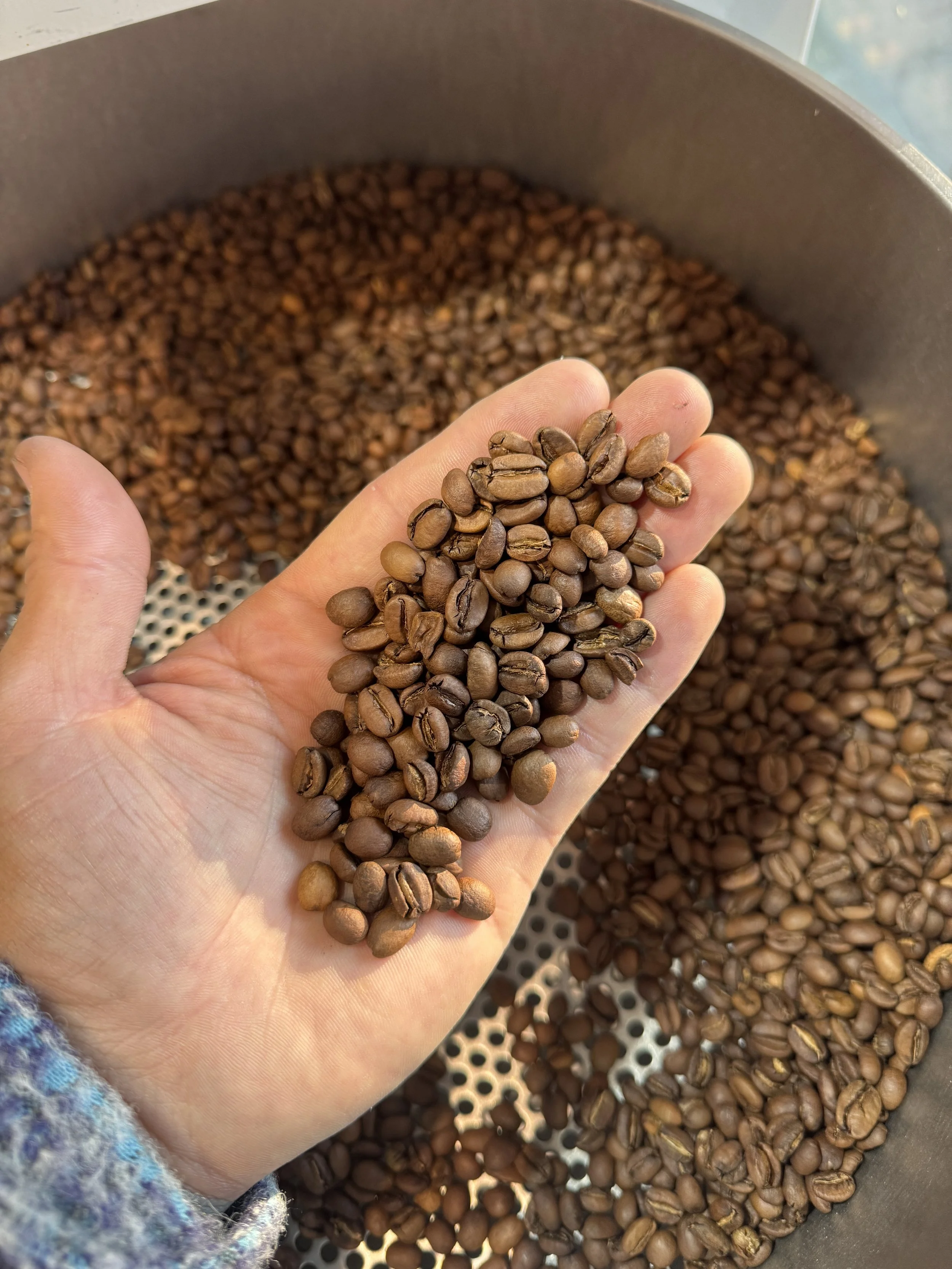 IMG_1919.JPG (Copy) (Copy) (Copy)