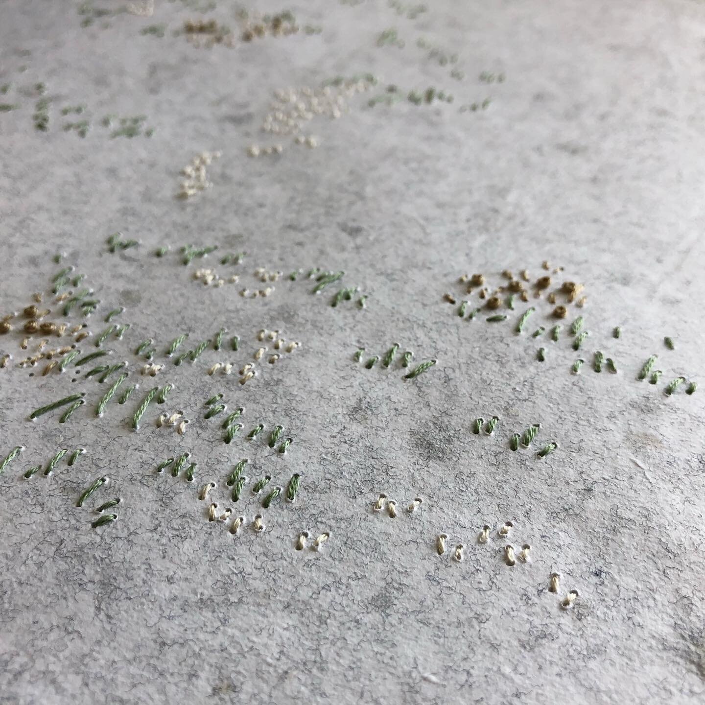 oeuvre_roche-montagne-lichen_2020_detail04.jpg