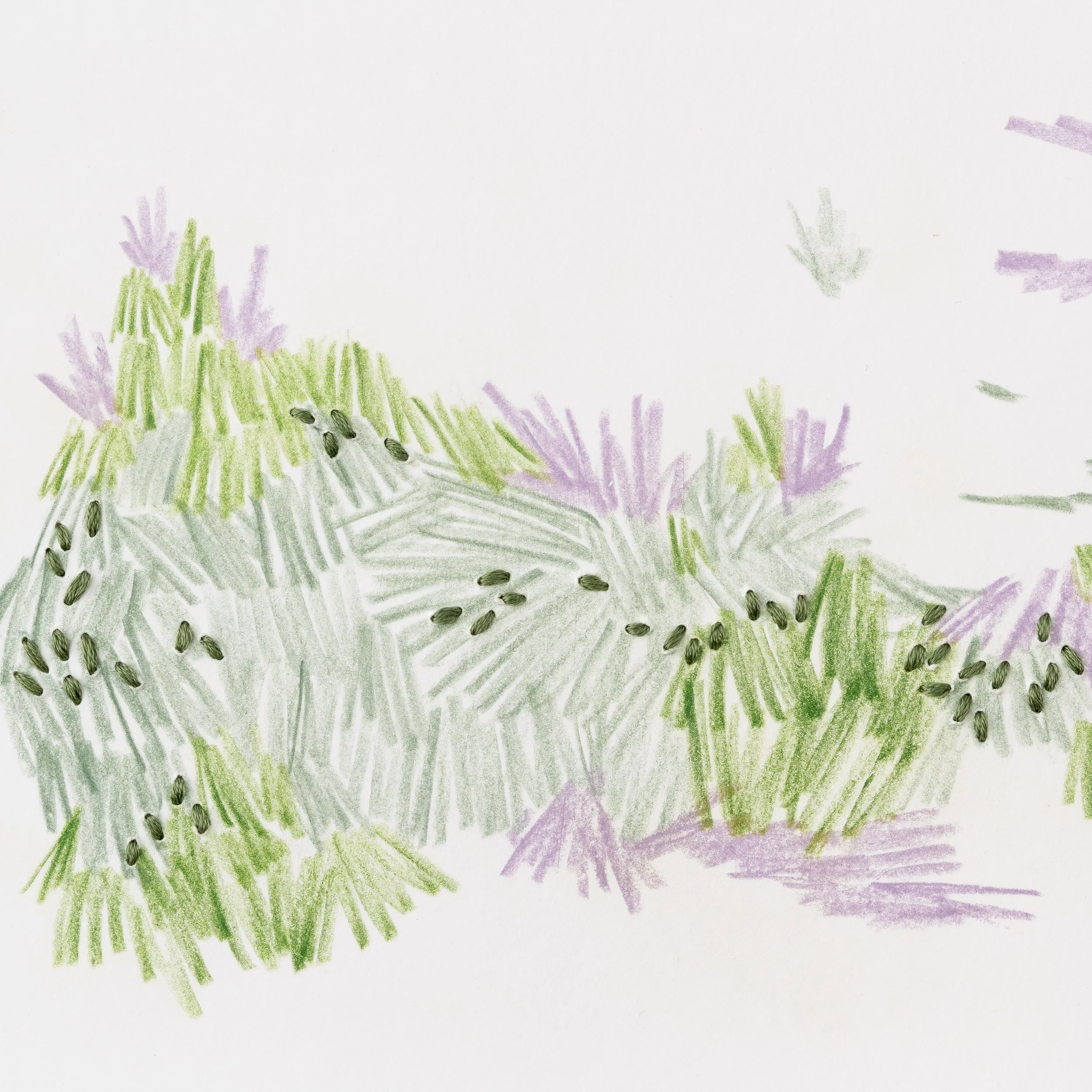 veronique-buist-expo-solo-coa-oeuvre-intemperie-etude-03-2024-detail01.jpg