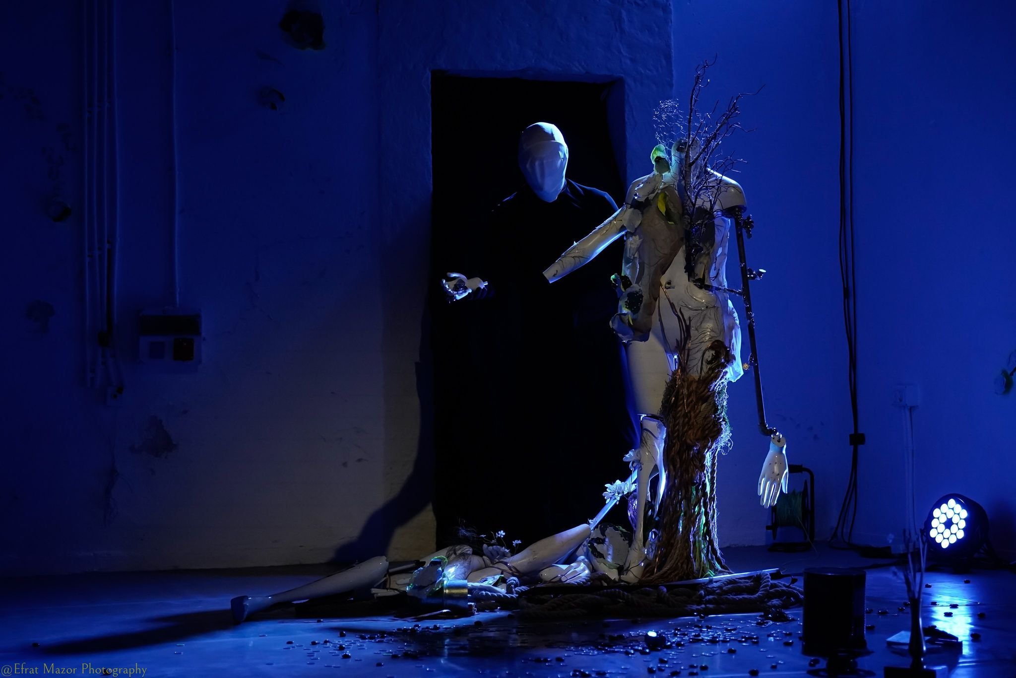 veronique-buist-projet-plaidoyer-pour-limpermanence-jason-martin-champignons-2021-01.jpg