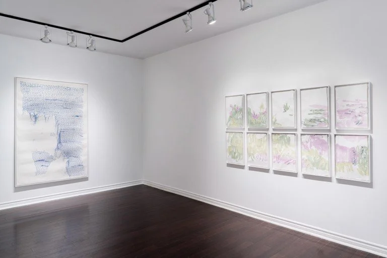 veronique-buist-exposition-solo-coa-vue-exposition-2024-06.jpg