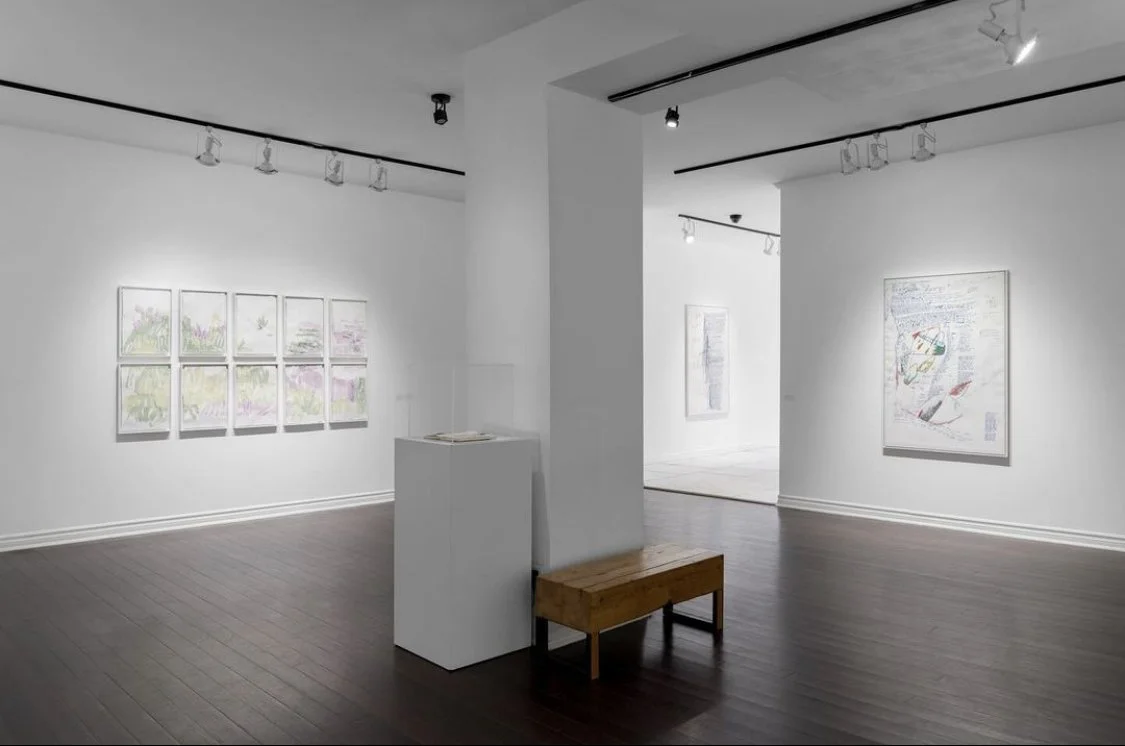 veronique-buist-exposition-solo-coa-vue-exposition-2024-02.jpg