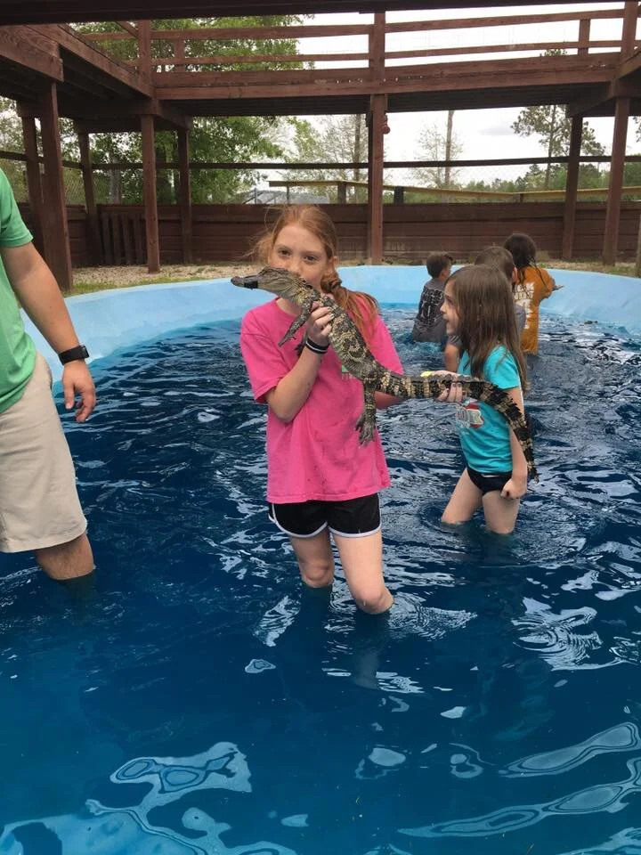 Girl holding a small crocodile in a pool with other children and a foster parent in the background.
