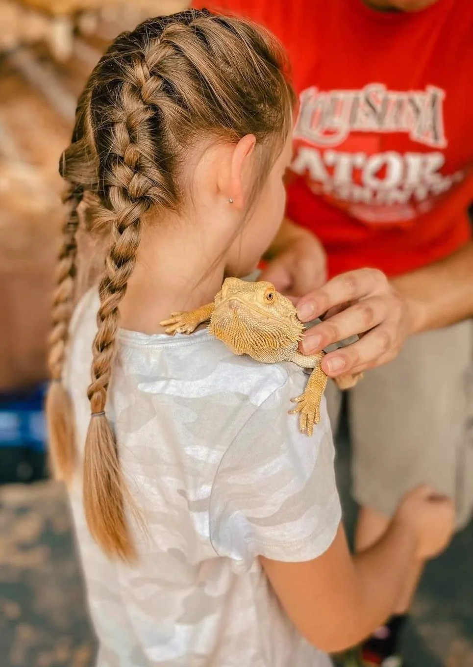 A young girl with braided hair is holding a bearded dragon. The girl is wearing a white top with a subtle pattern, and an adult with a red shirt is assisting her.