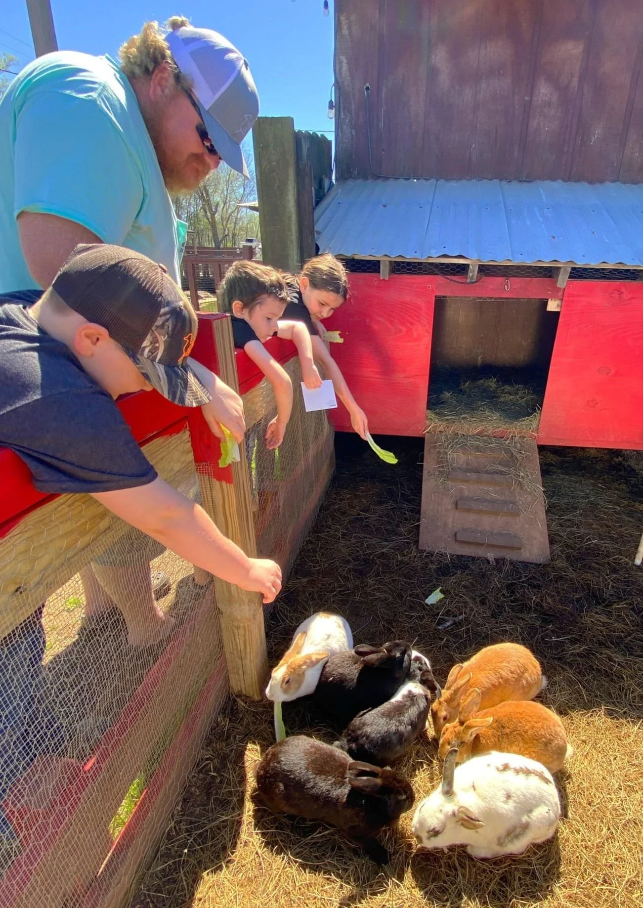 A man and three children leaning over a red bunny hutch, feeding and observing five rabbits of various colors on straw-covered ground outside on a sunny day.