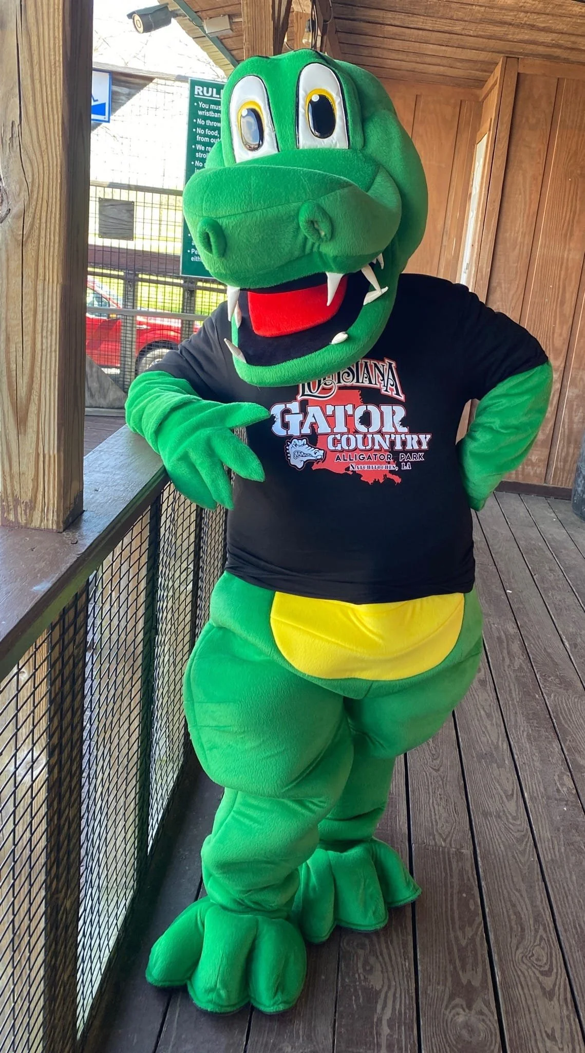 Person in a green alligator costume with a large lizard head, wearing a black t-shirt with 'Indiana Gator Country' written on it, standing on a wooden deck.