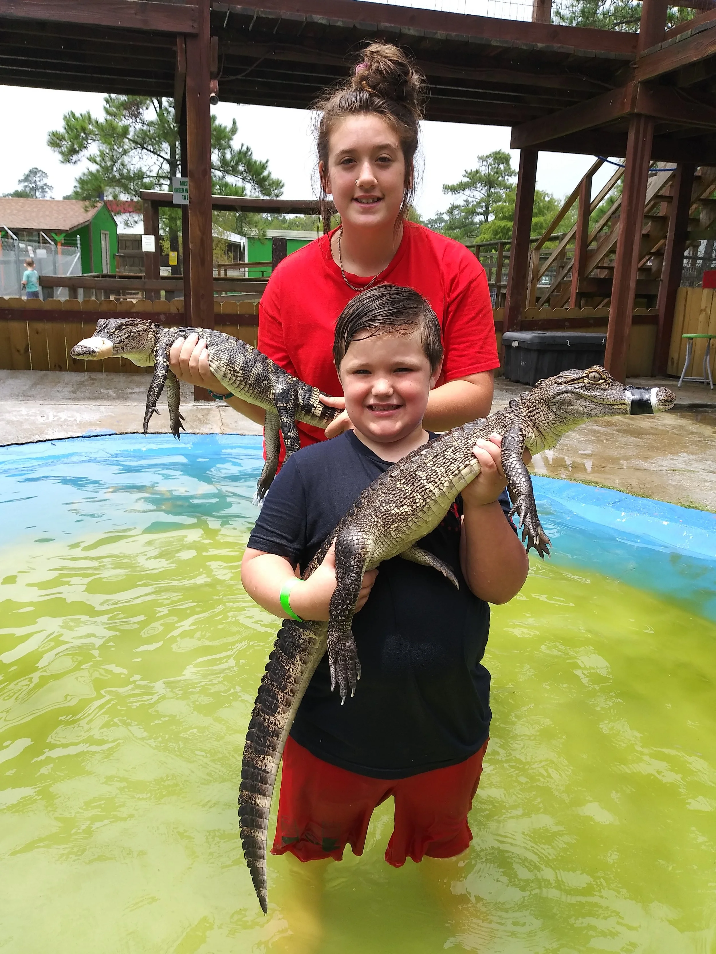 Two children, a girl in a red shirt and a boy in a black shirt, holding small alligators in an outdoor area with water, wooden structures, and trees in the background.