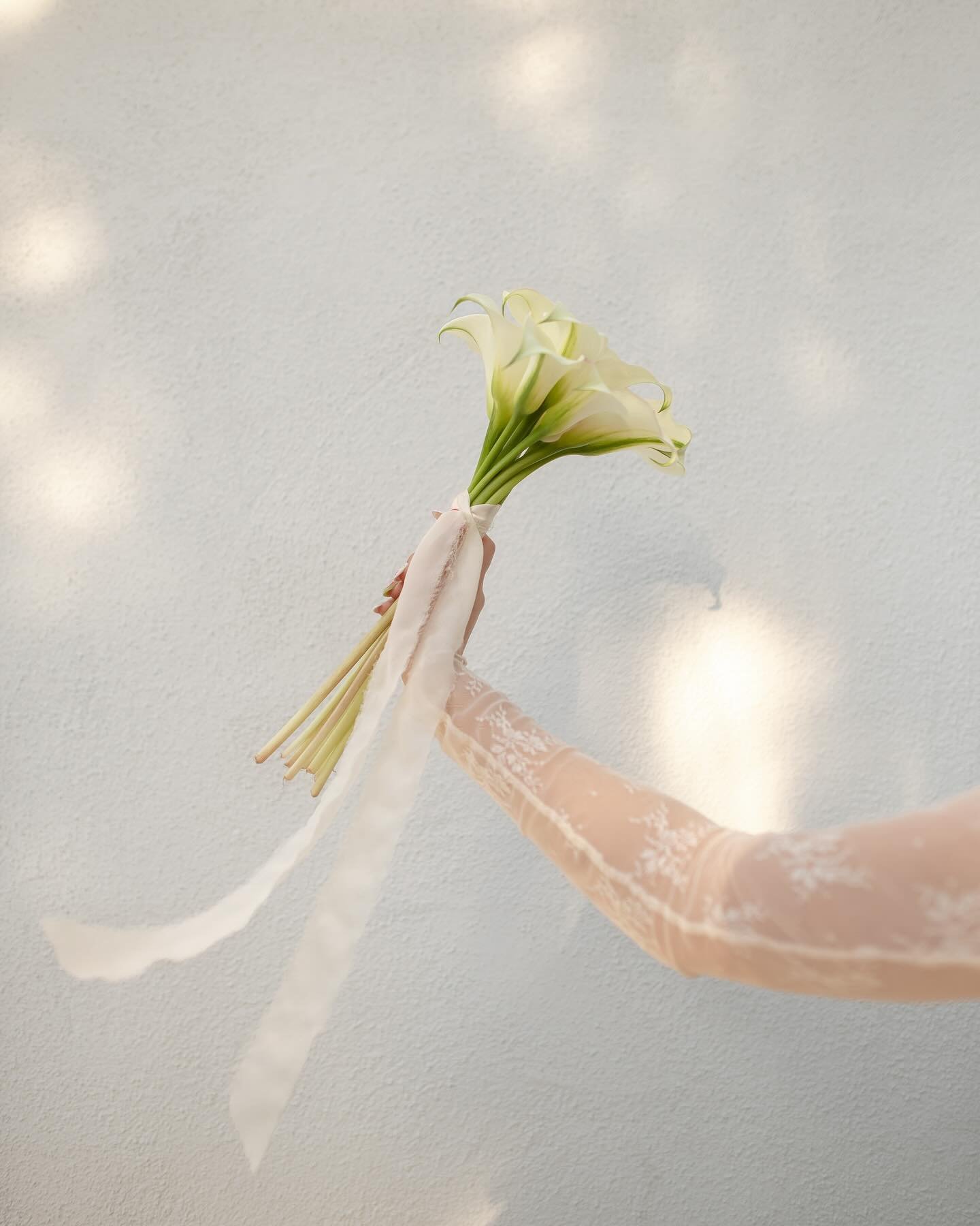 the beautiful Makayla + her calla lily bouquet 🕊️
.
.
.
.
.
.
.
.
#santabarbaraweddingphotographer #santabarbarawedding #santabarbaraweddingstyle #sanluisobispoweddingphotographer #sanluisobispowedding #californiaweddingphotographer #californiaweddi