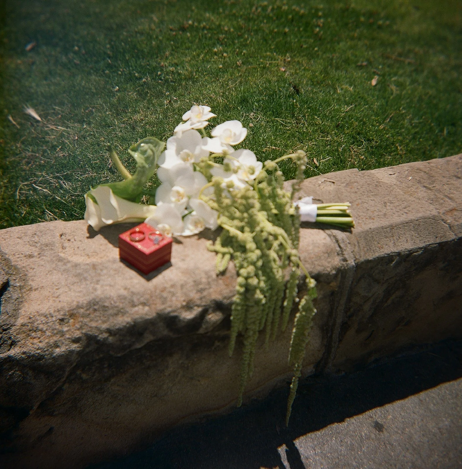 bethanyjoyphotographyfilm-36.jpg