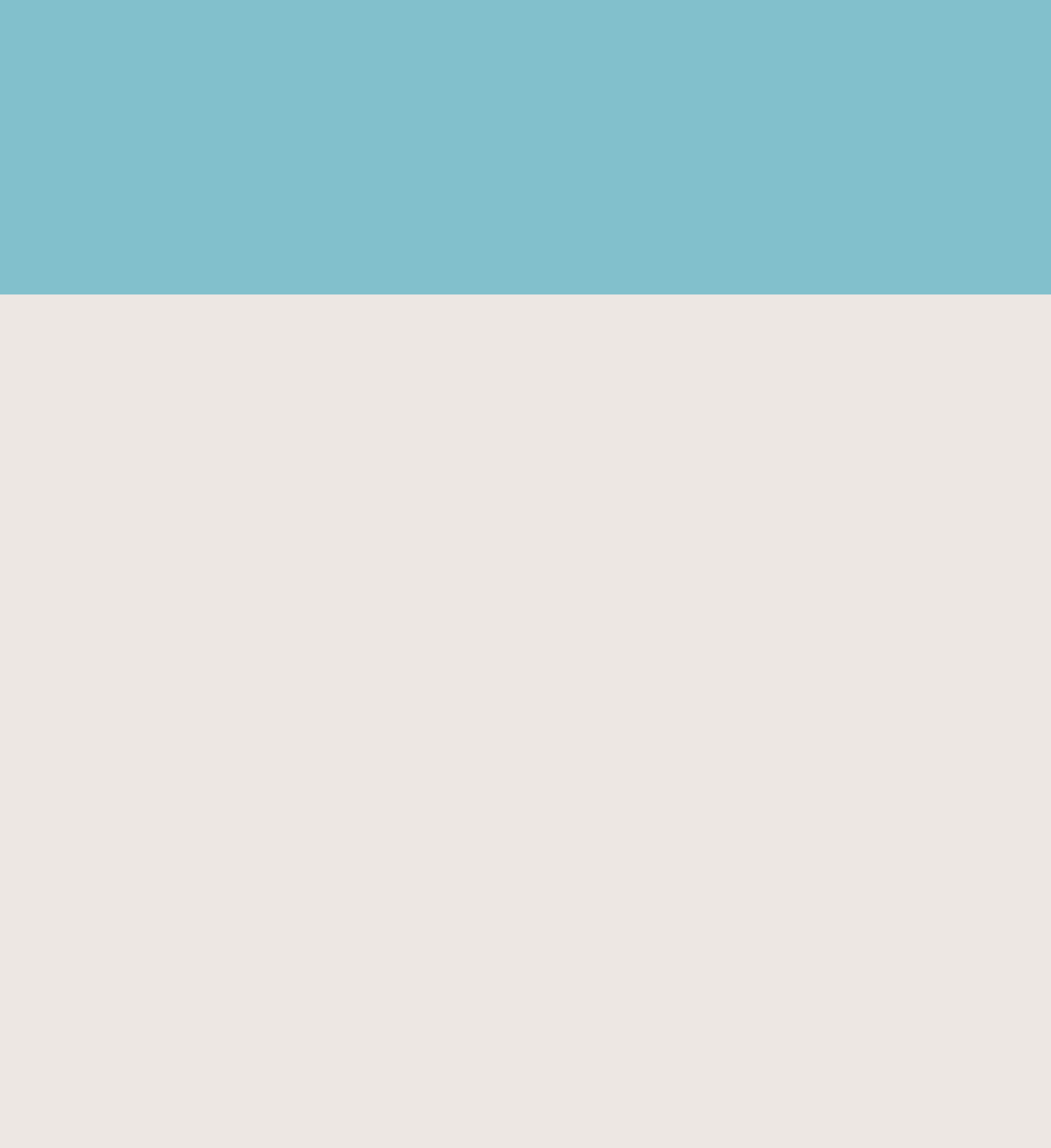 Copy of All Banners (Thrive) (7).png