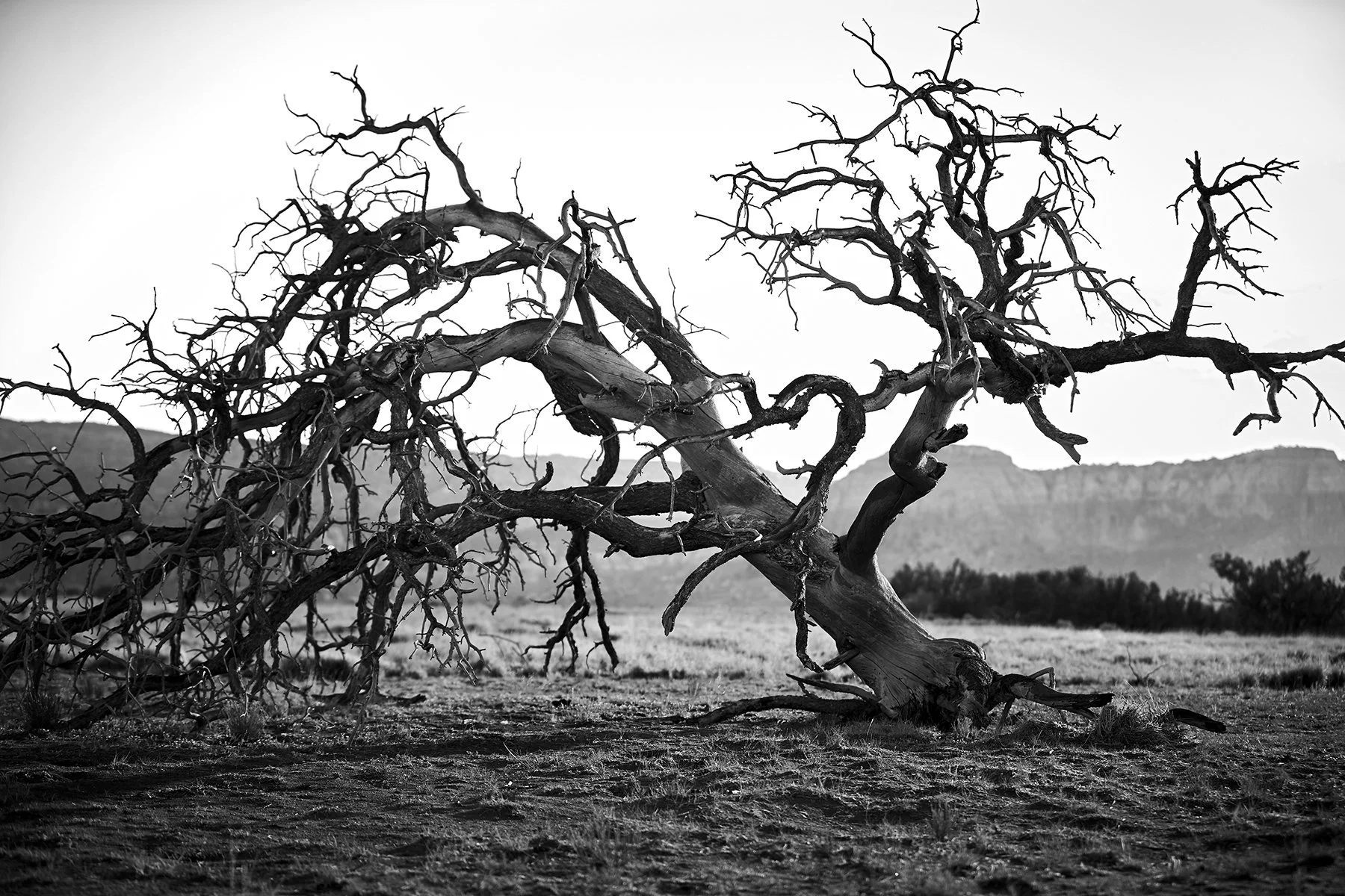 Santa Fe, New Mexico 2021