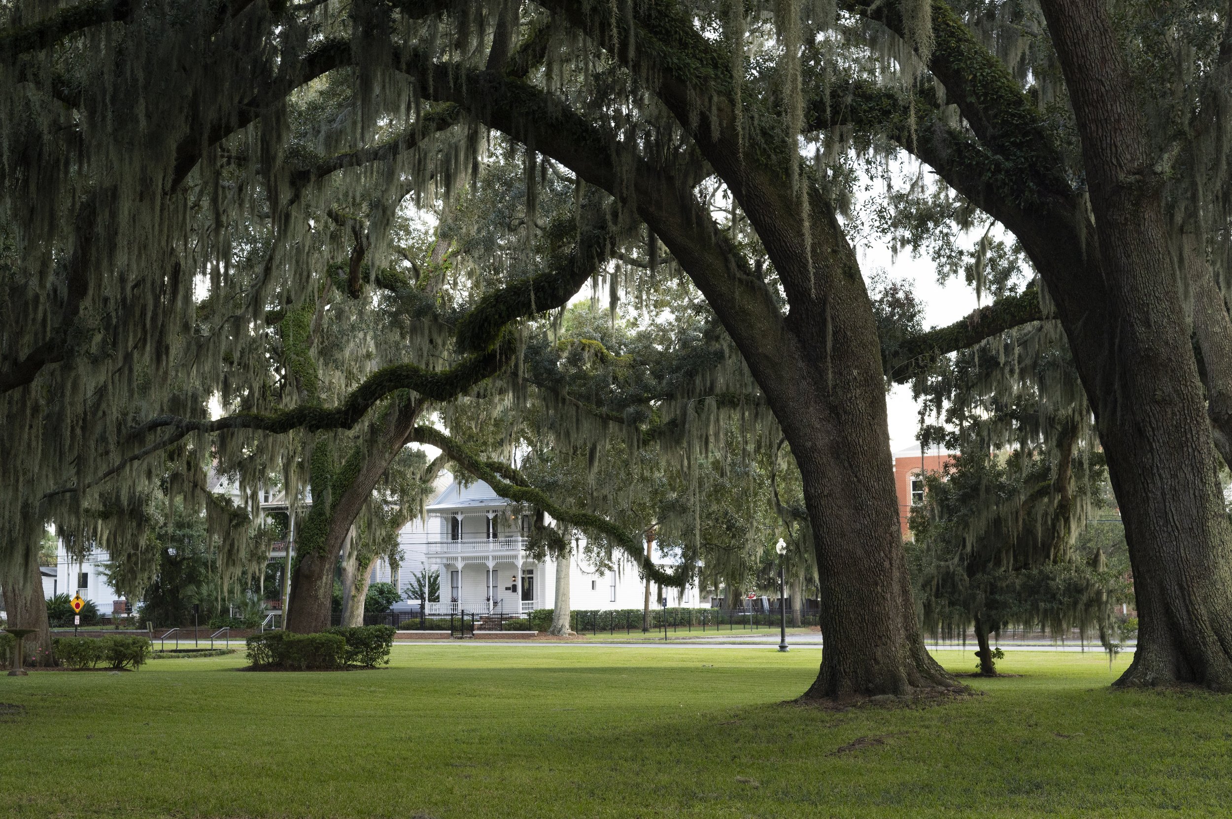 Brunswick-GA-October-2021-NicoleBuchanan-16.jpg
