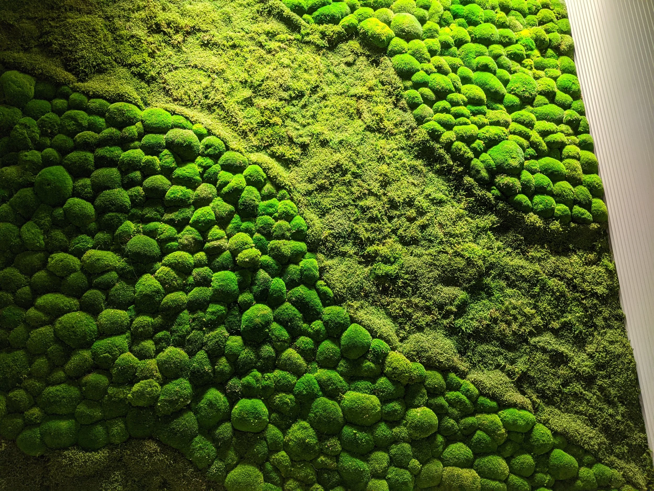 Bringing the Beauty of Nature Inside with Preserved Moss Walls — Green