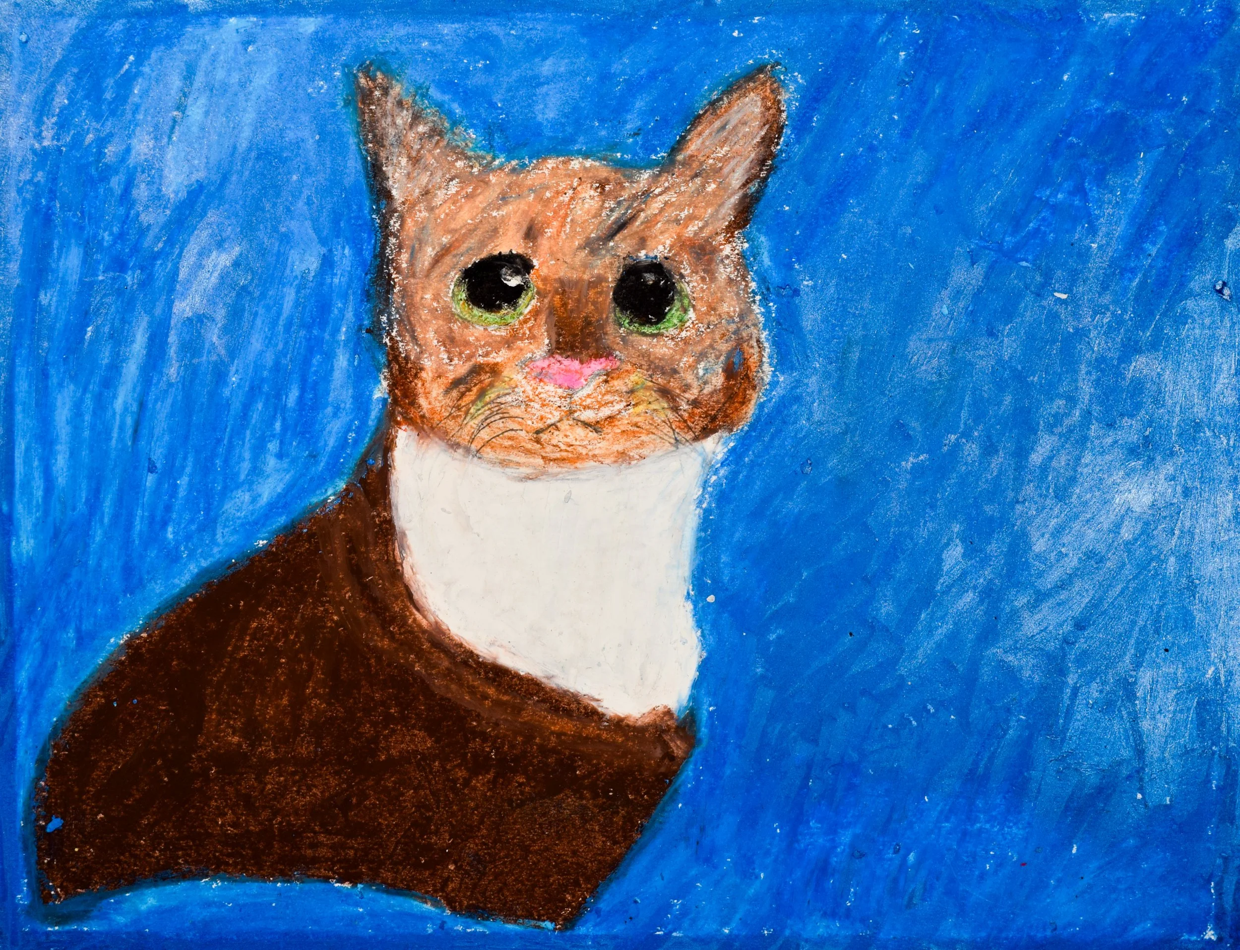 Adrian L Momenzadeh-2.jpg